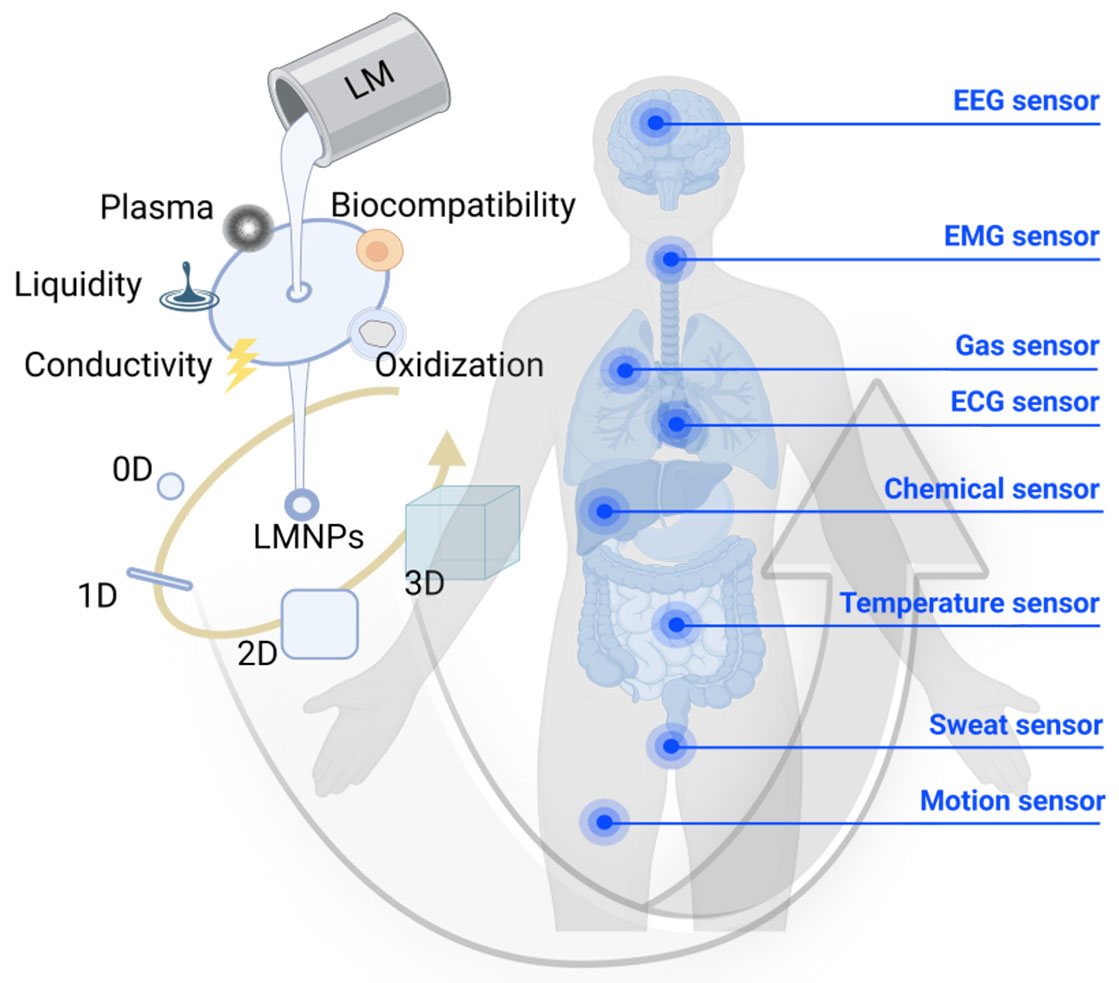 Liquid metals nanotransformer for healthcare biosensors