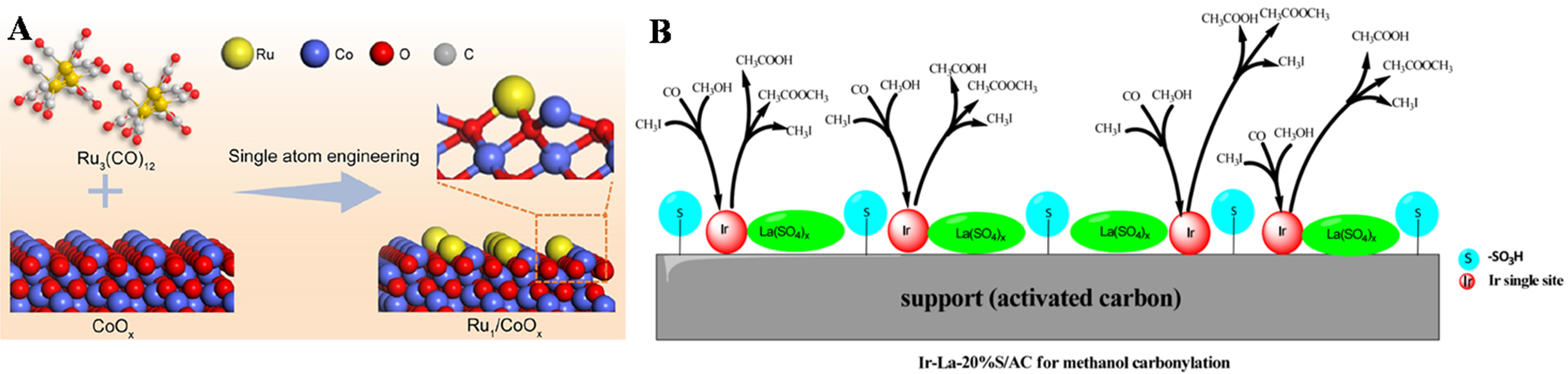 Recent advances in synergetic catalysis of single-atom catalysts in biomass conversion, CO<sub>2</sub> reduction, and cascade reaction