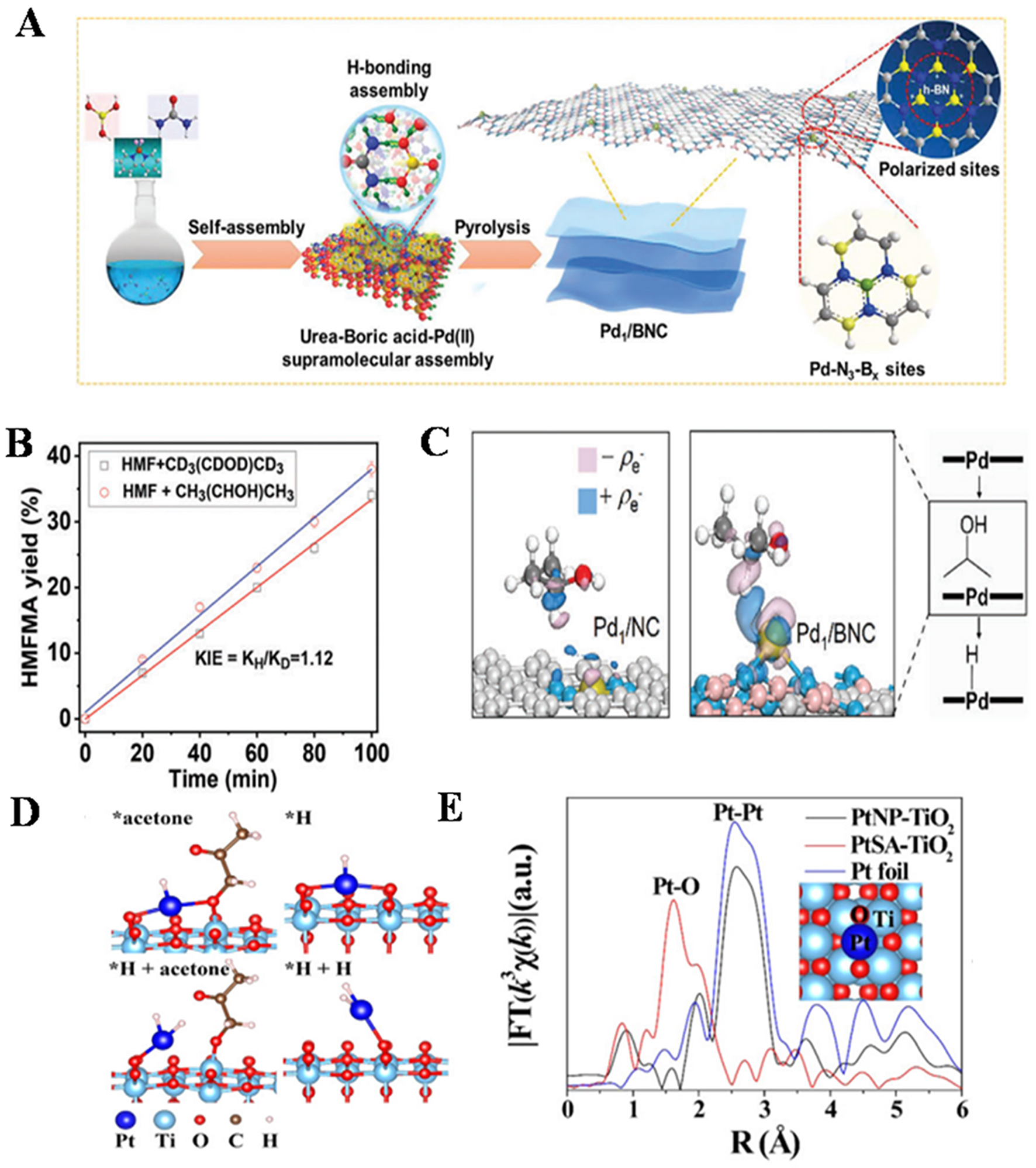 Recent advances in synergetic catalysis of single-atom catalysts in biomass conversion, CO<sub>2</sub> reduction, and cascade reaction
