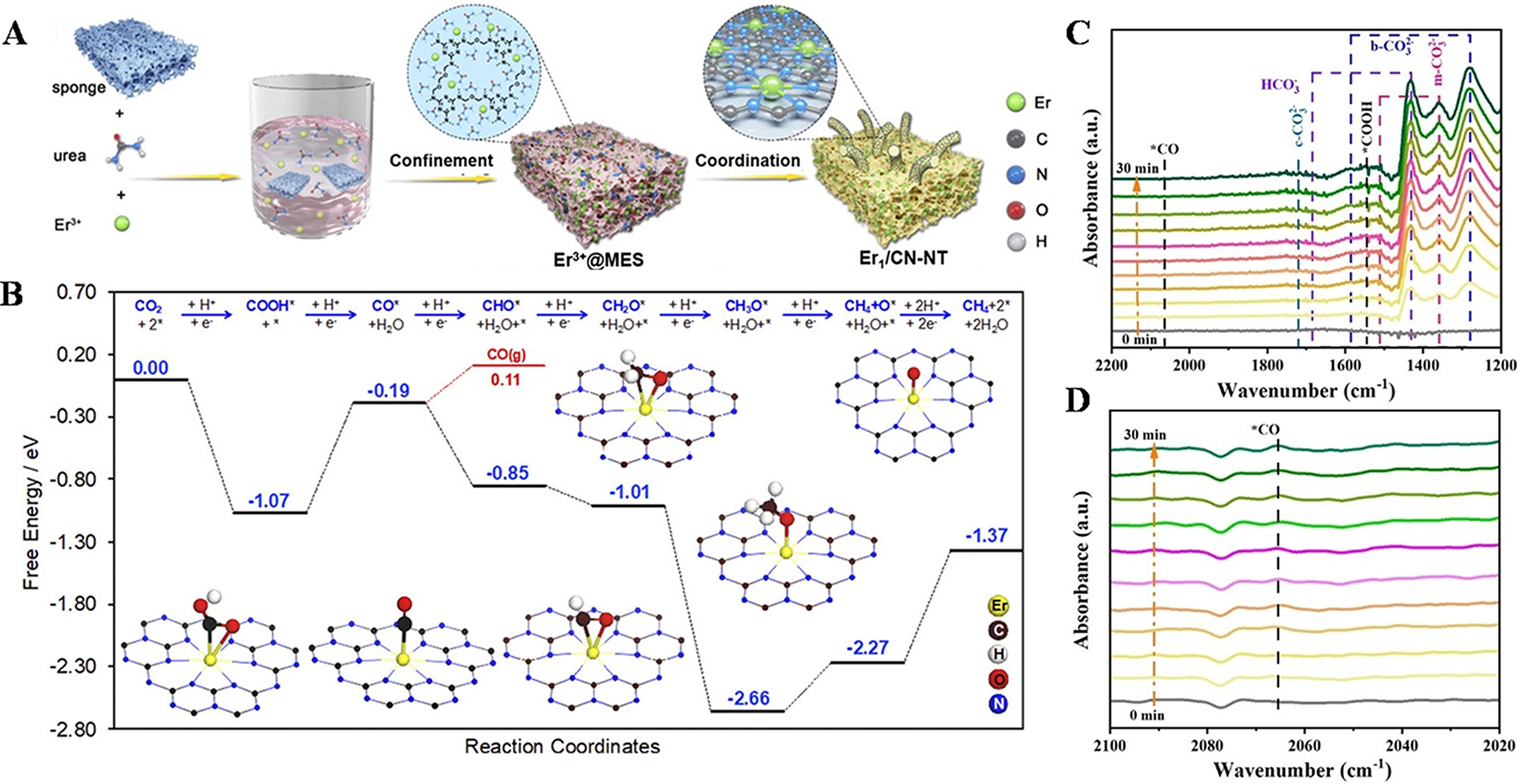 Recent advances in synergetic catalysis of single-atom catalysts in biomass conversion, CO<sub>2</sub> reduction, and cascade reaction