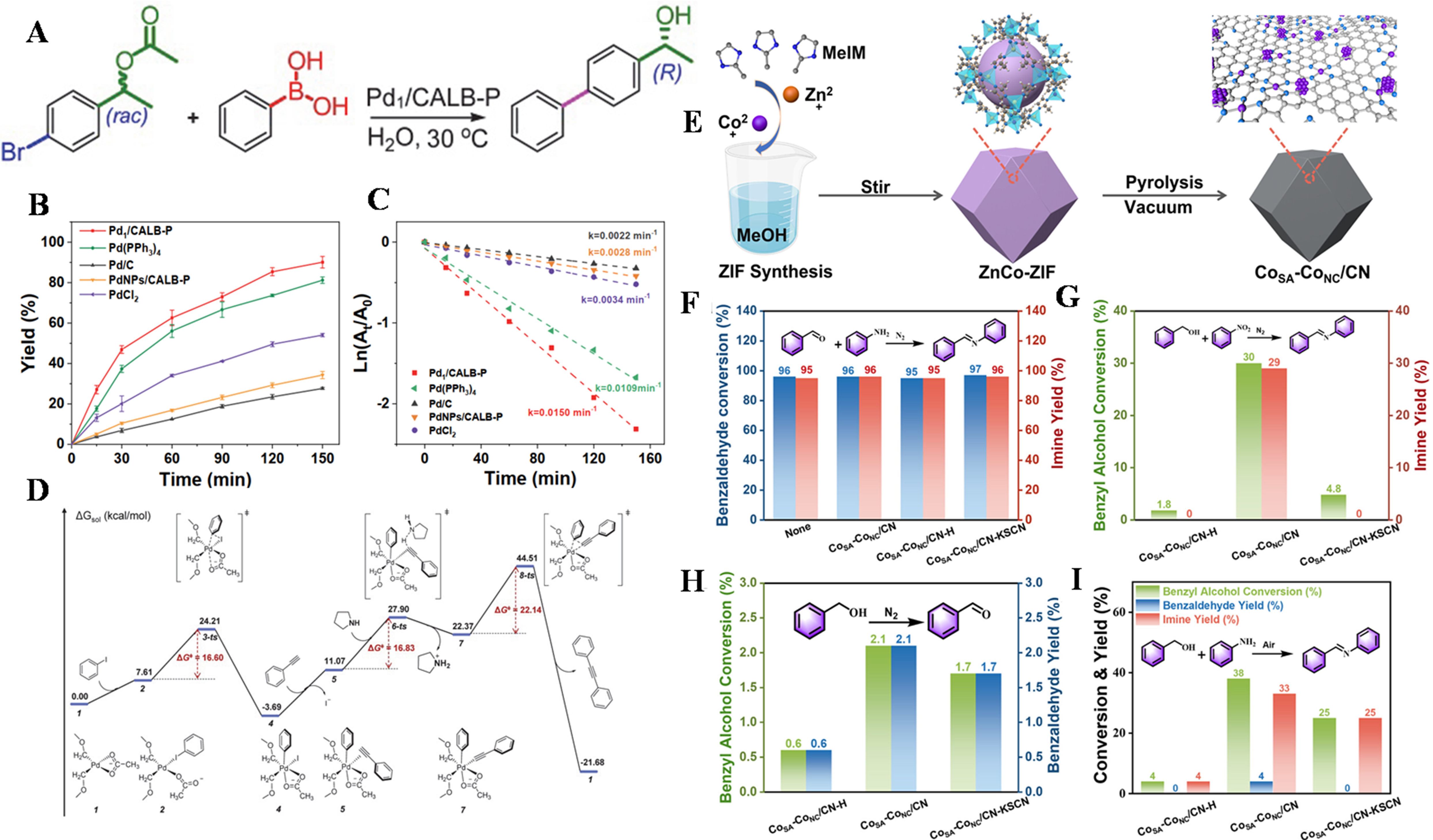 Recent advances in synergetic catalysis of single-atom catalysts in biomass conversion, CO<sub>2</sub> reduction, and cascade reaction