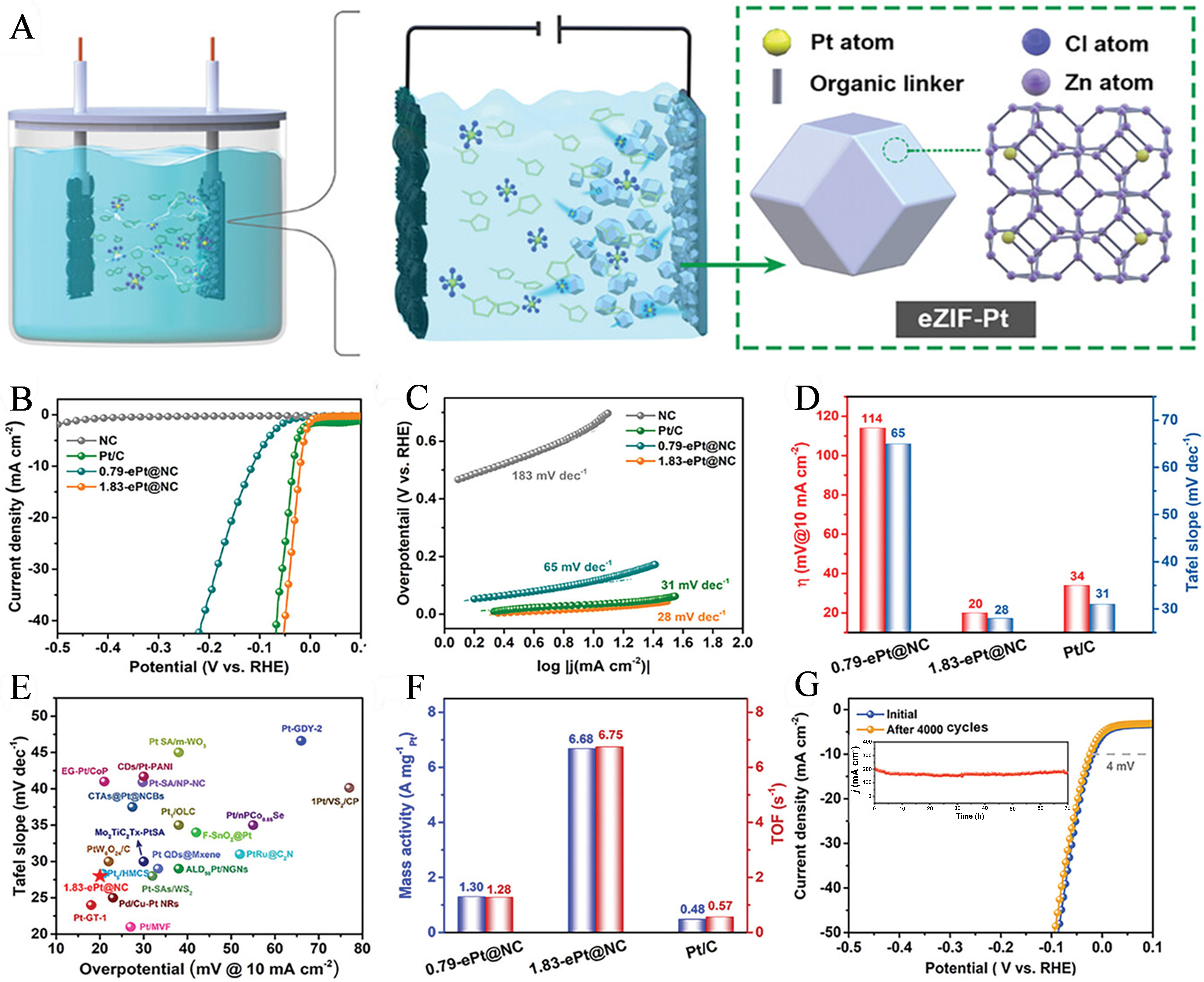 Recent advances in synergetic catalysis of single-atom catalysts in biomass conversion, CO<sub>2</sub> reduction, and cascade reaction