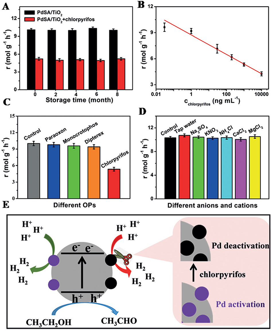 Recent advances in synergetic catalysis of single-atom catalysts in biomass conversion, CO<sub>2</sub> reduction, and cascade reaction