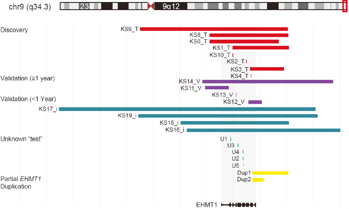 <i>EHMT1</i> pathogenic variants and 9q34.3 microdeletions share altered DNA methylation patterns in patients with Kleefstra syndrome