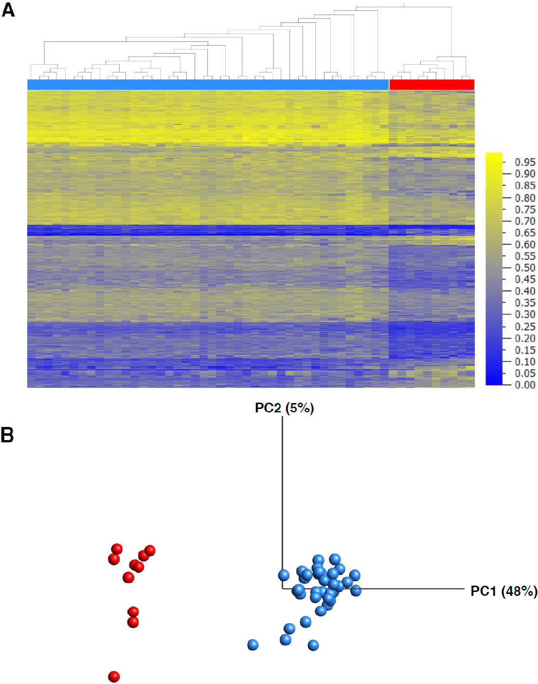 <i>EHMT1</i> pathogenic variants and 9q34.3 microdeletions share altered DNA methylation patterns in patients with Kleefstra syndrome