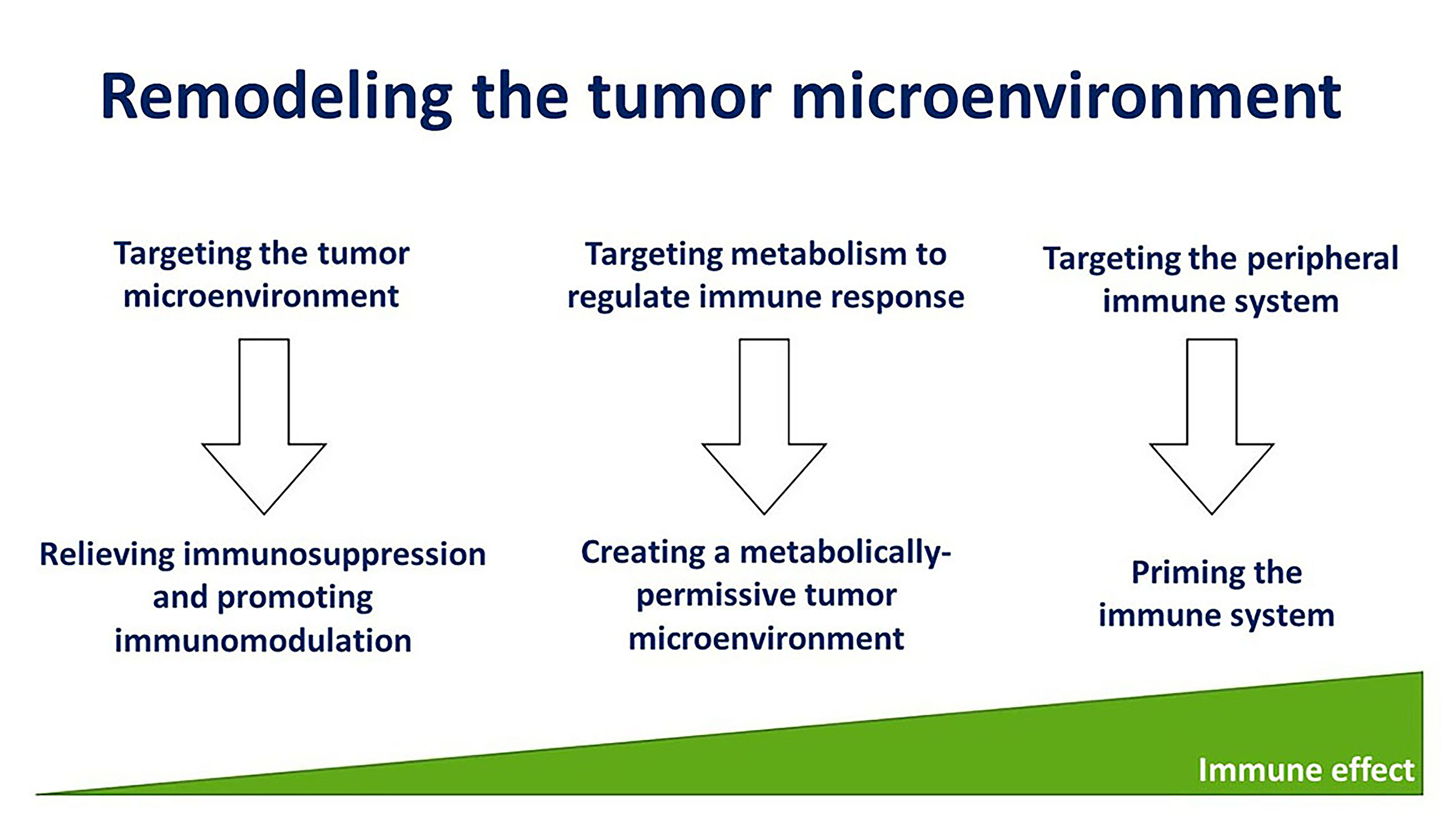 Remodeling the tumor microenvironment to overcome treatment resistance in HPV-negative head and neck cancer