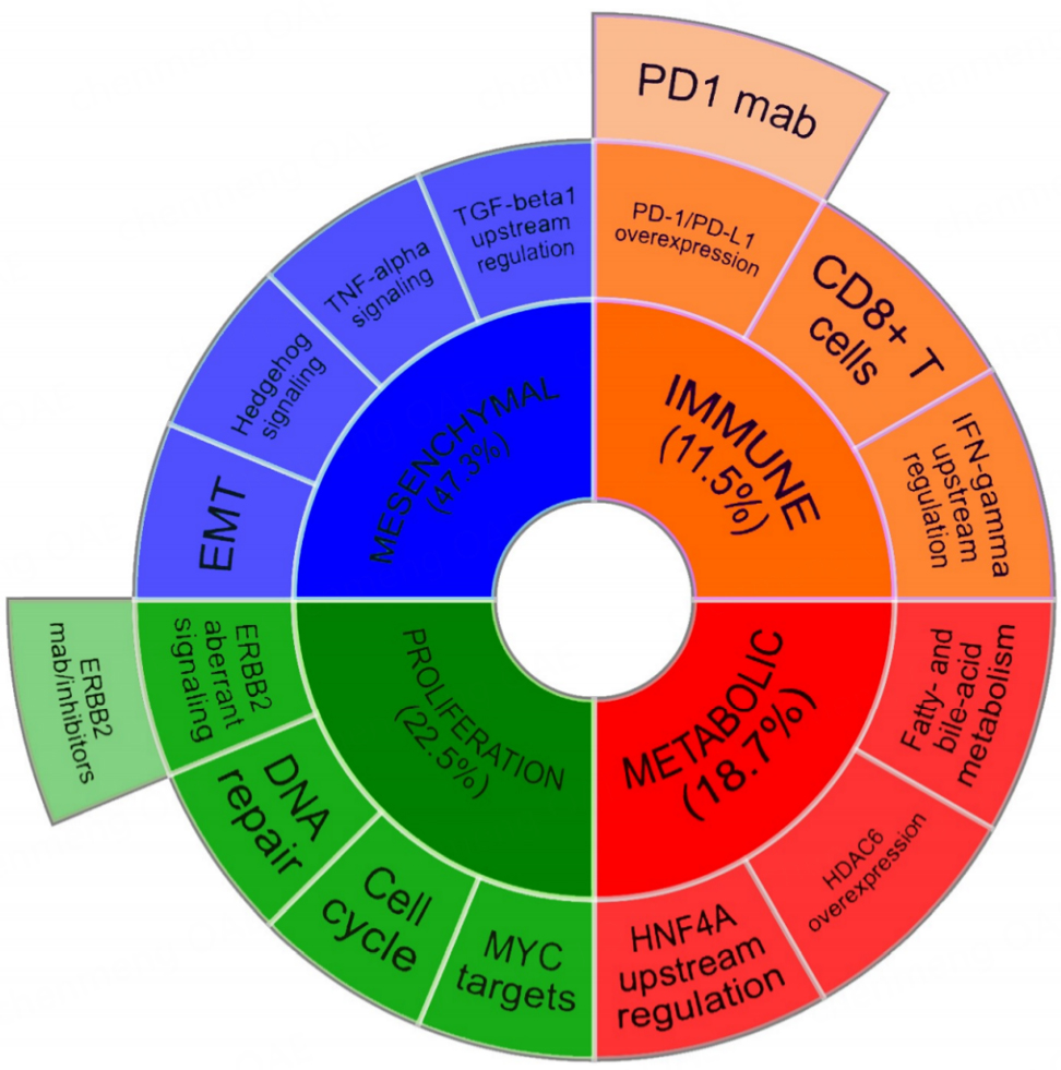 Genomic alterations and targeted therapies in extrahepatic cholangiocarcinoma
