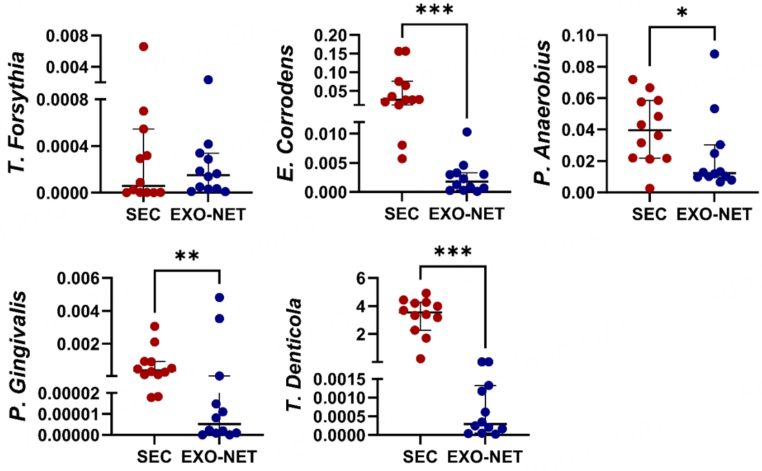 Immunoaffinity-enriched salivary small extracellular vesicles in periodontitis