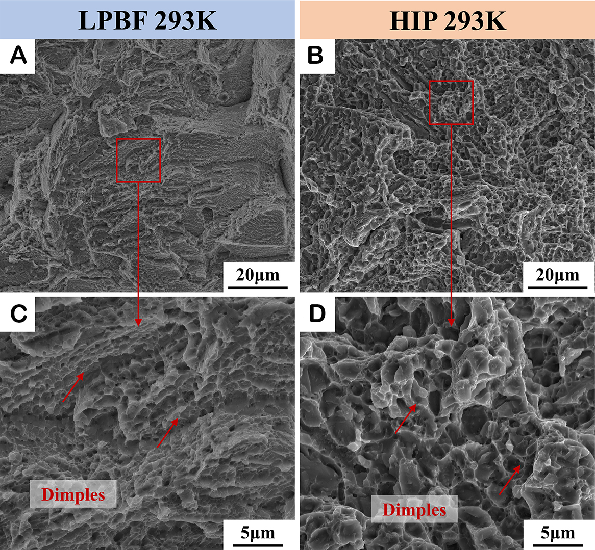 Hot isostatic pressing induced precipitation strengthening at room and high temperature of <InlineParagraph>Ni-Fe-Cr-Al-V</InlineParagraph> high-entropy alloy manufactured by laser powder bed fusion