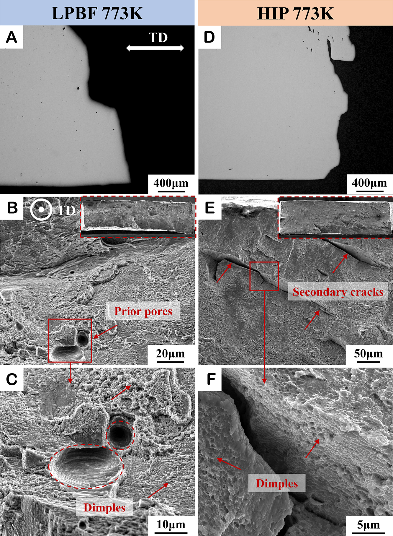 Hot isostatic pressing induced precipitation strengthening at room and high temperature of <InlineParagraph>Ni-Fe-Cr-Al-V</InlineParagraph> high-entropy alloy manufactured by laser powder bed fusion