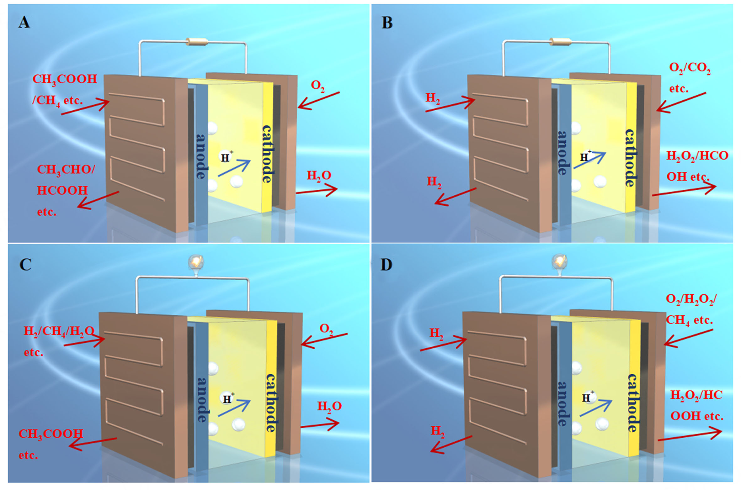 Proton exchange membrane fuel cells: application for value-added chemical productions