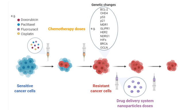 Topic: Overcome Cancer Drug Resistance by Nano-carrier Drug Delivery System