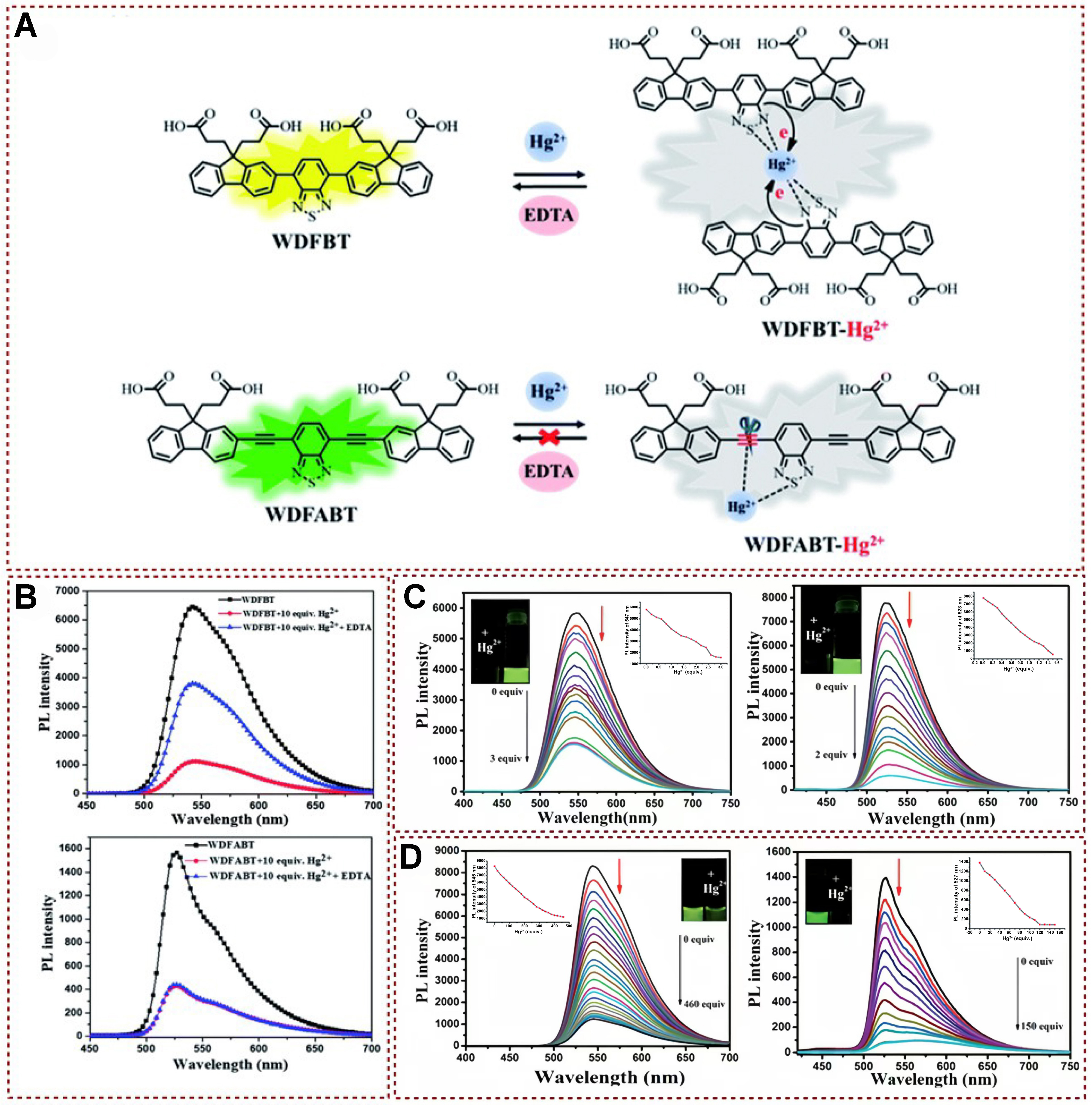 Functional fluorescent probes for efficient identification and detection of mercury ions based on fluorescence emission, quenching, and resonance energy transfer processes