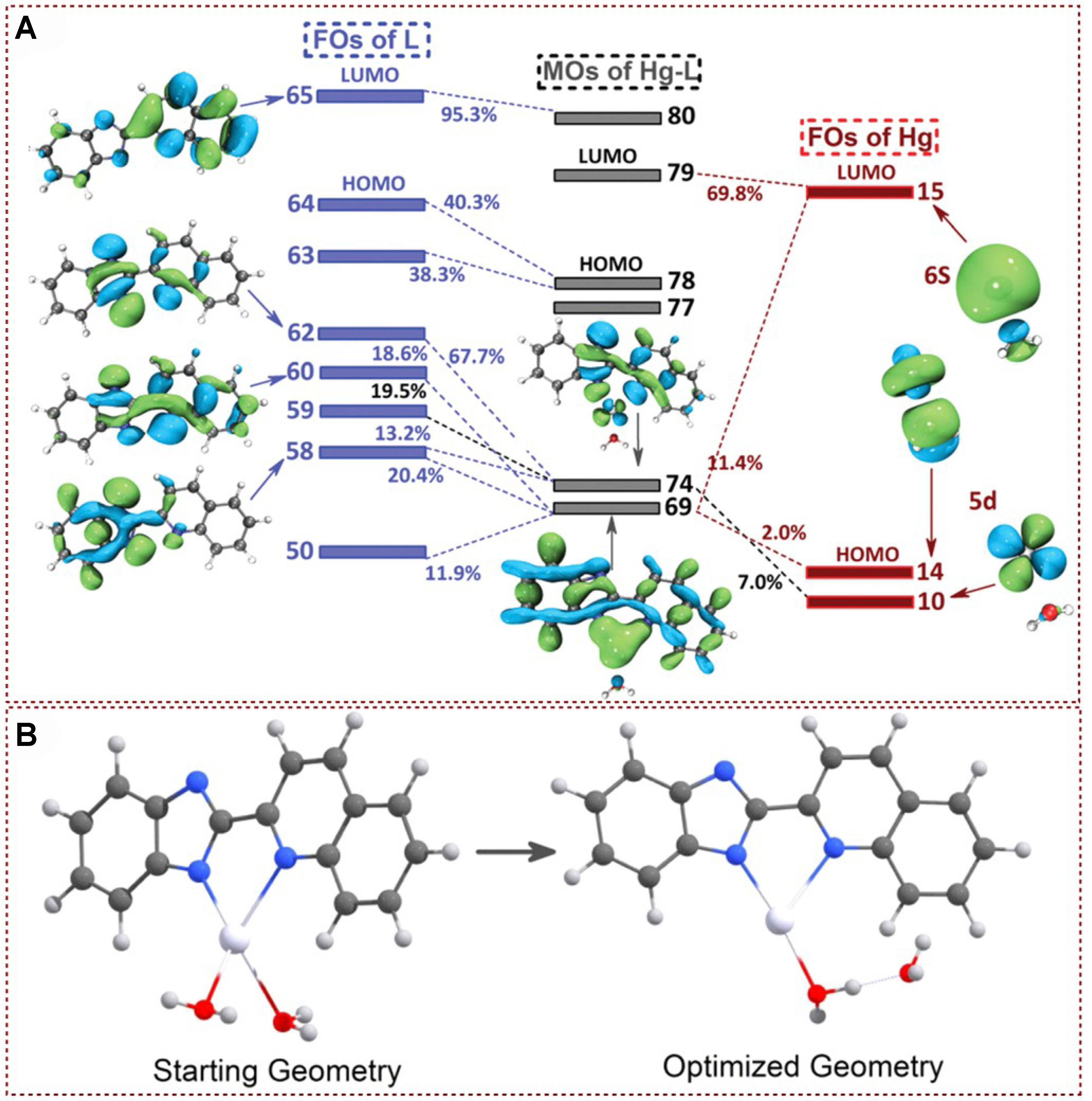 Functional fluorescent probes for efficient identification and detection of mercury ions based on fluorescence emission, quenching, and resonance energy transfer processes