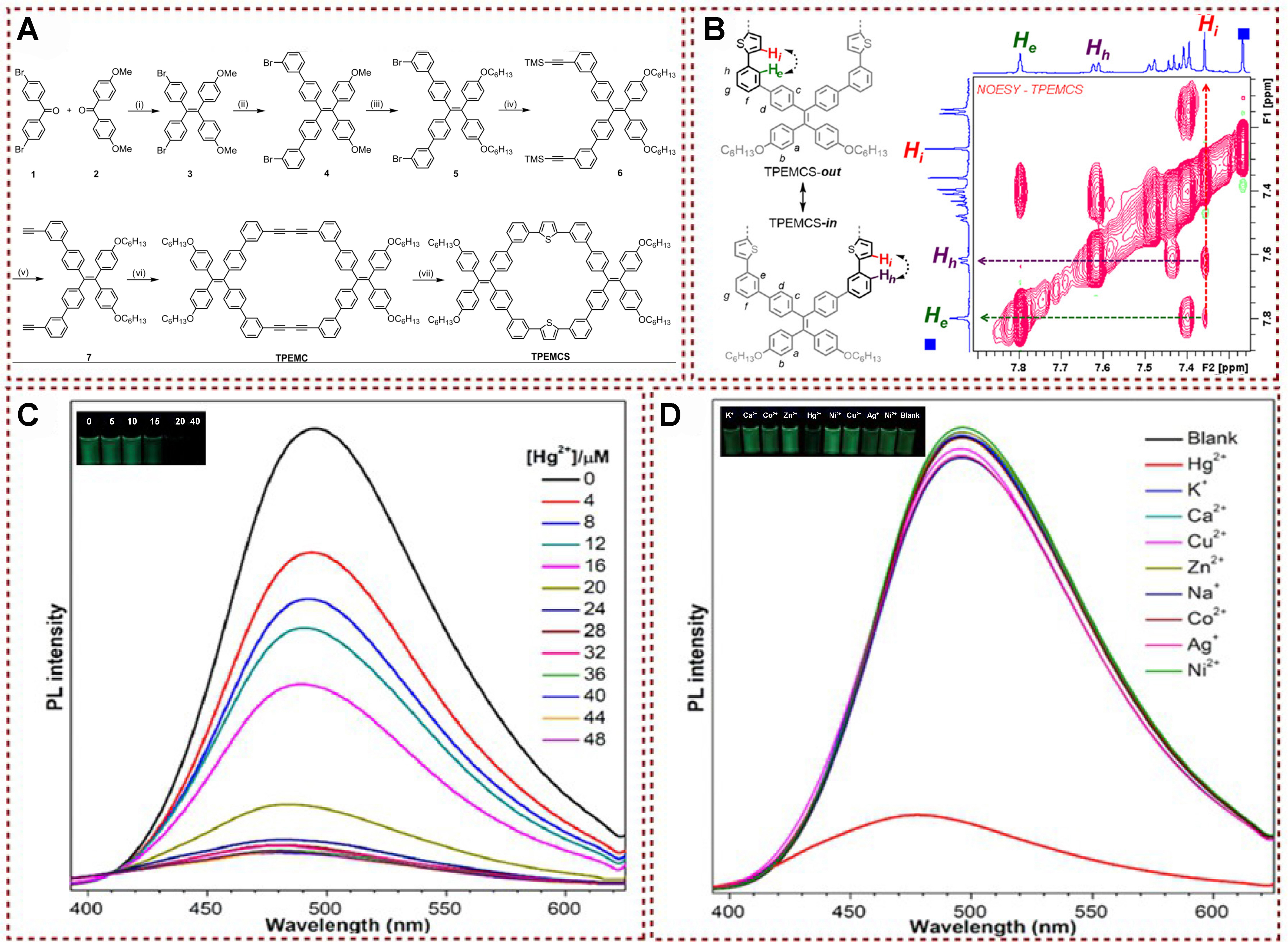 Functional fluorescent probes for efficient identification and detection of mercury ions based on fluorescence emission, quenching, and resonance energy transfer processes