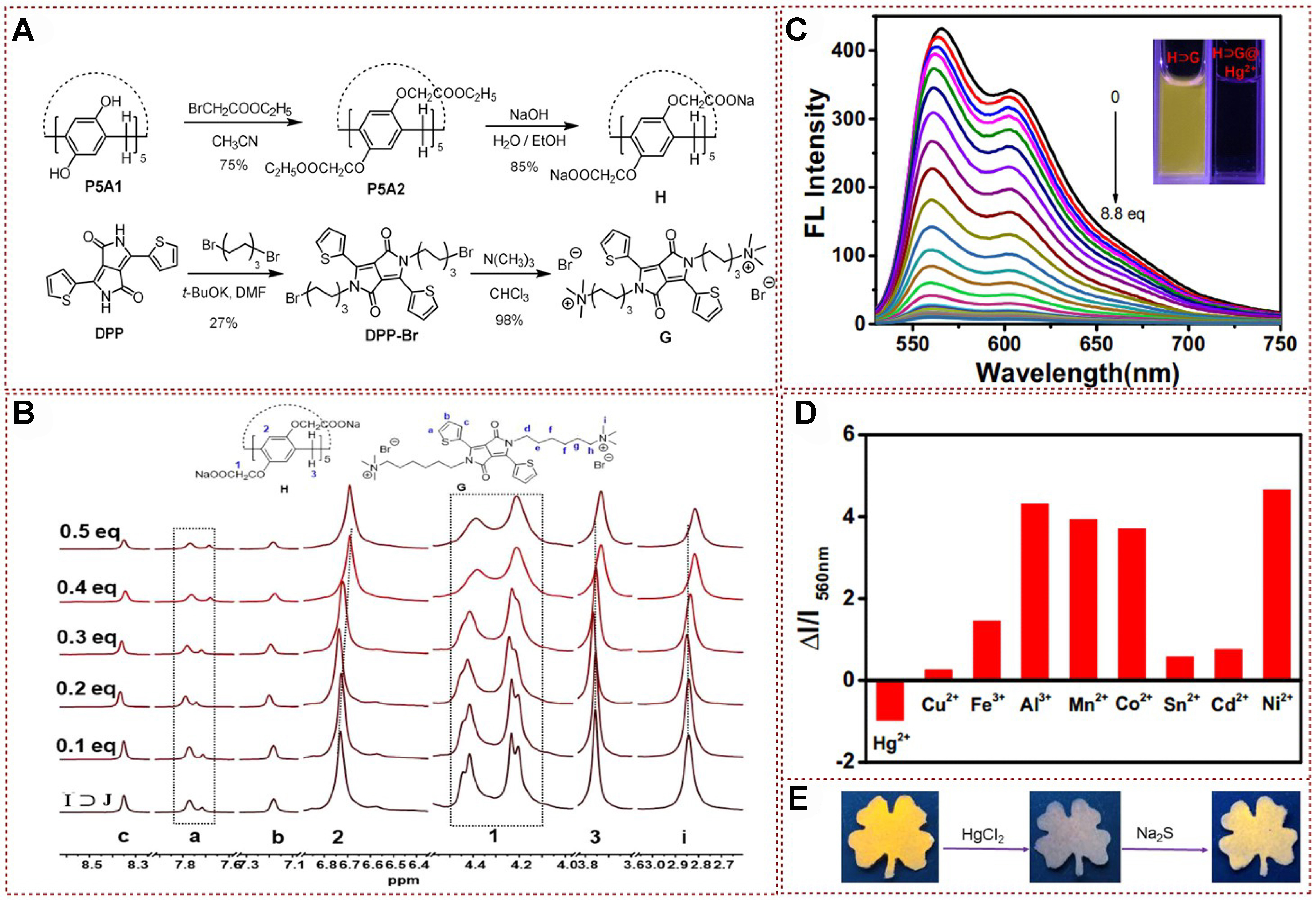 Functional fluorescent probes for efficient identification and detection of mercury ions based on fluorescence emission, quenching, and resonance energy transfer processes