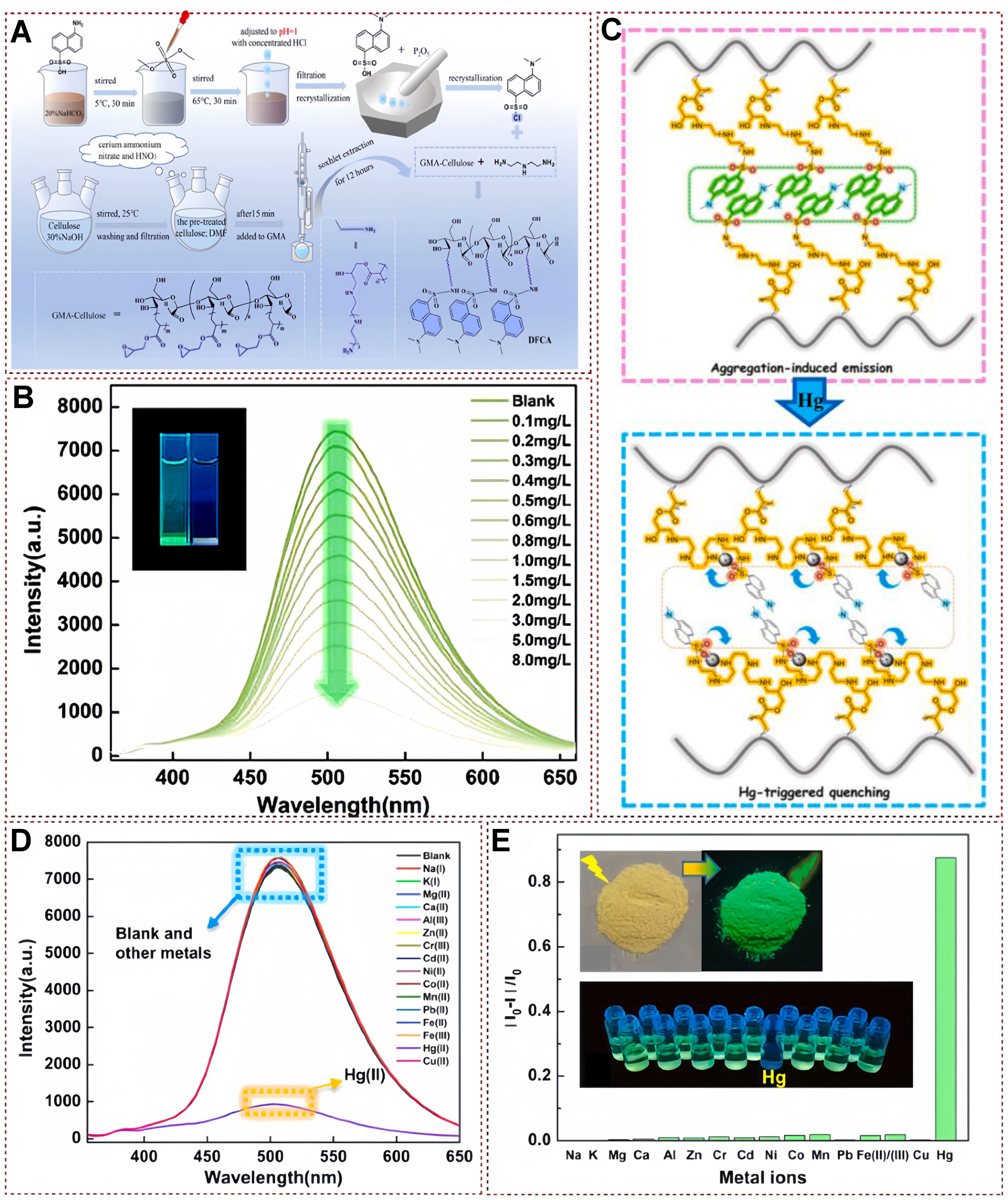 Functional fluorescent probes for efficient identification and detection of mercury ions based on fluorescence emission, quenching, and resonance energy transfer processes