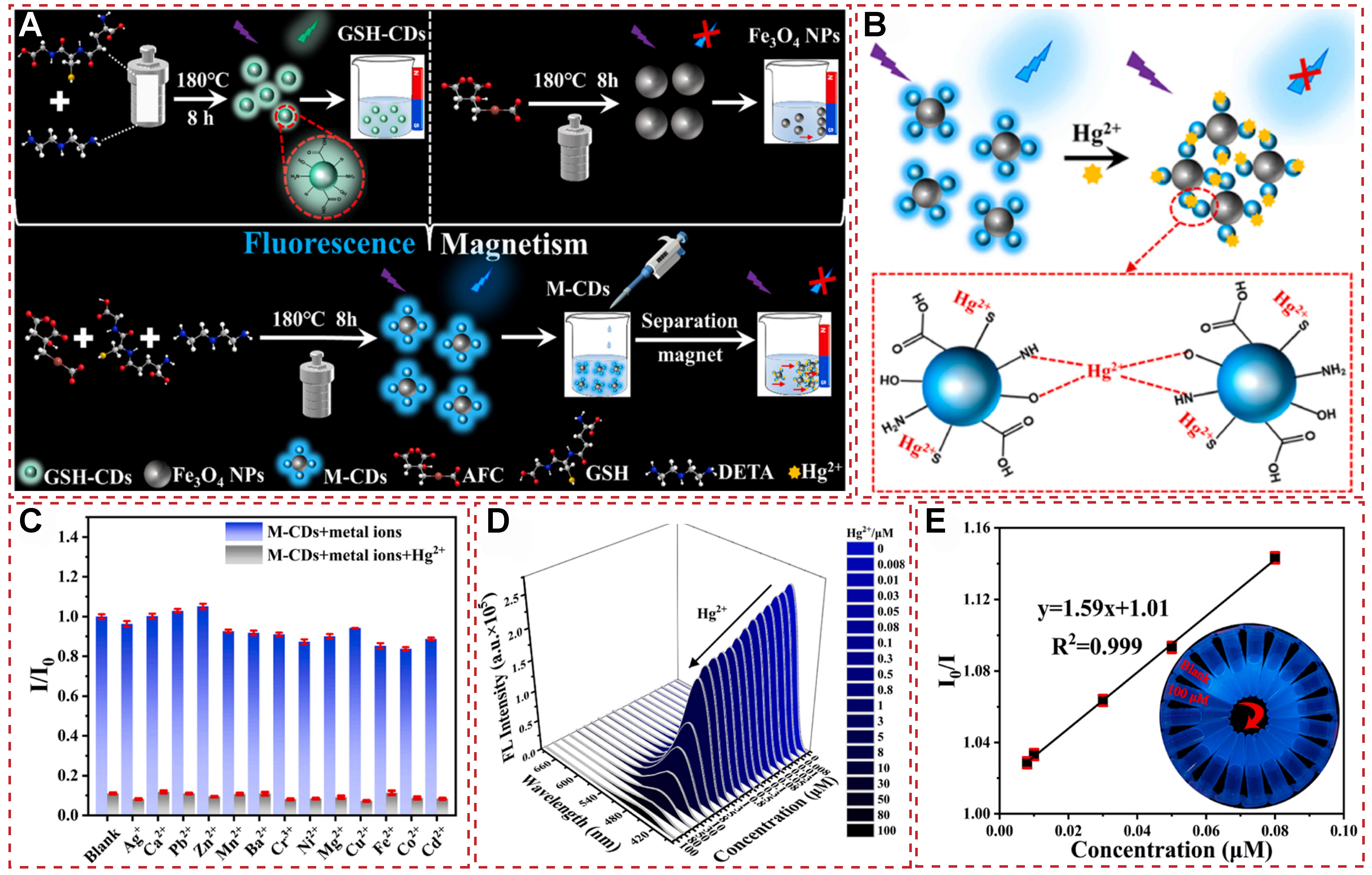 Functional fluorescent probes for efficient identification and detection of mercury ions based on fluorescence emission, quenching, and resonance energy transfer processes