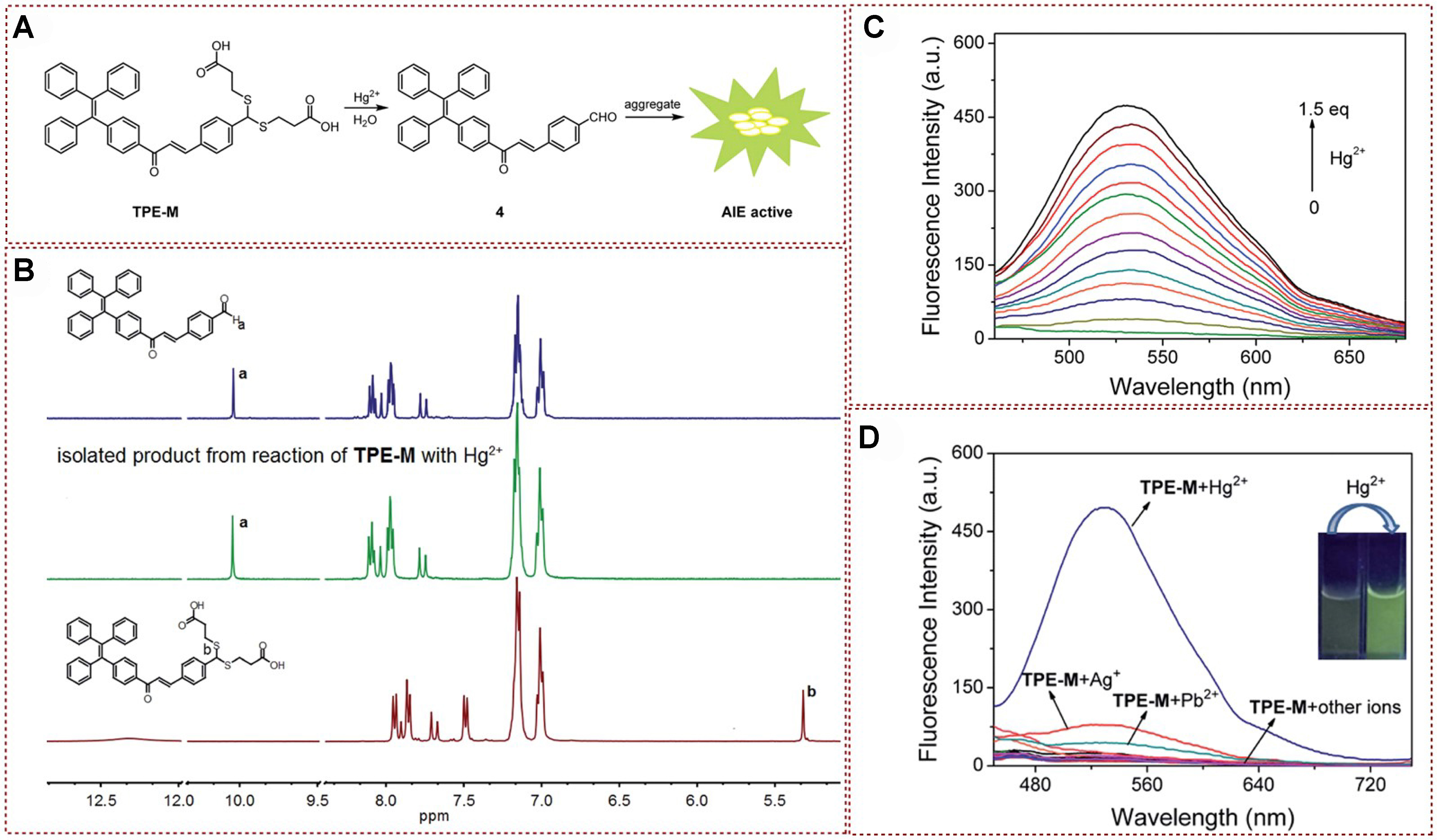 Functional fluorescent probes for efficient identification and detection of mercury ions based on fluorescence emission, quenching, and resonance energy transfer processes