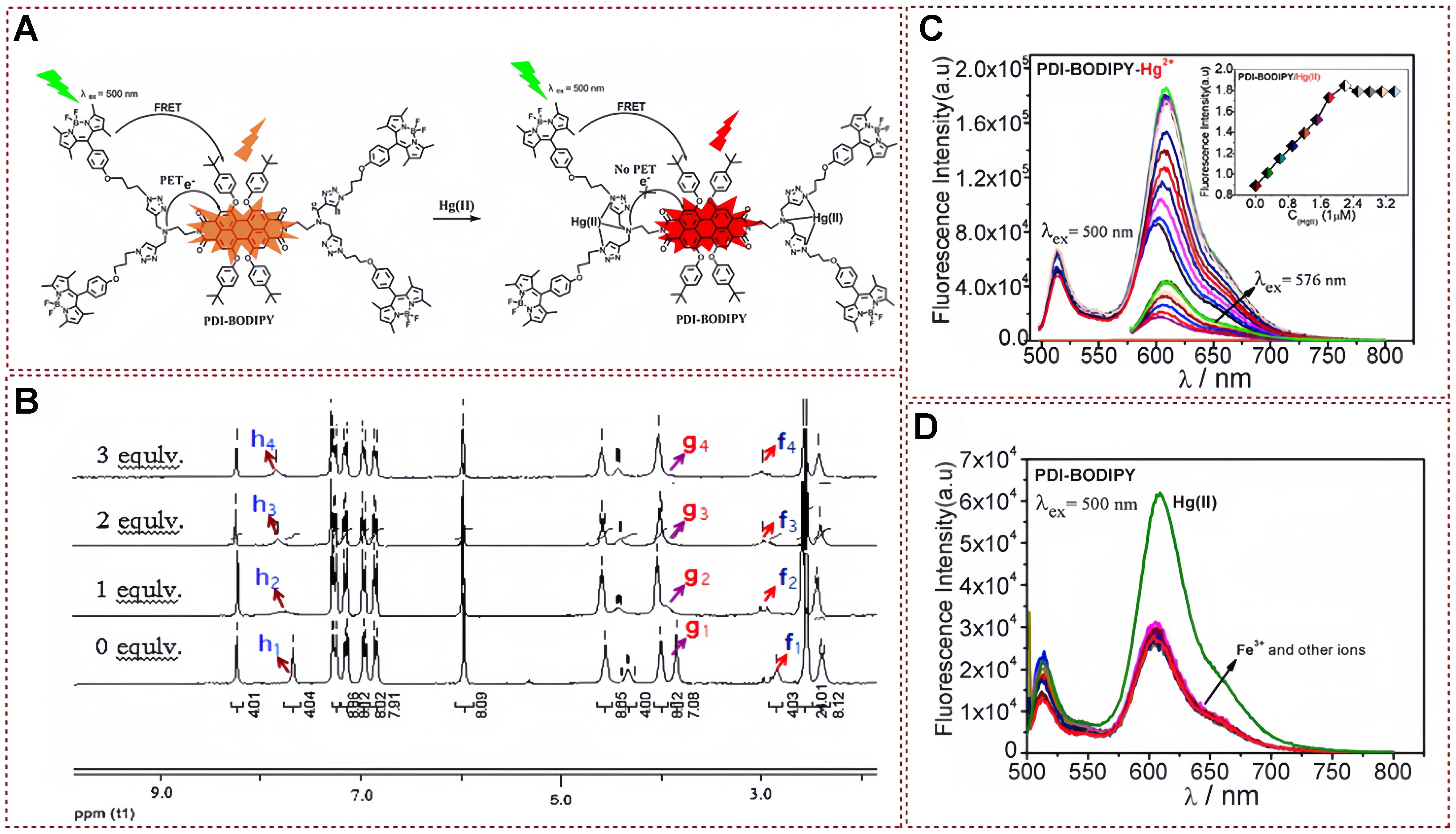 Functional fluorescent probes for efficient identification and detection of mercury ions based on fluorescence emission, quenching, and resonance energy transfer processes
