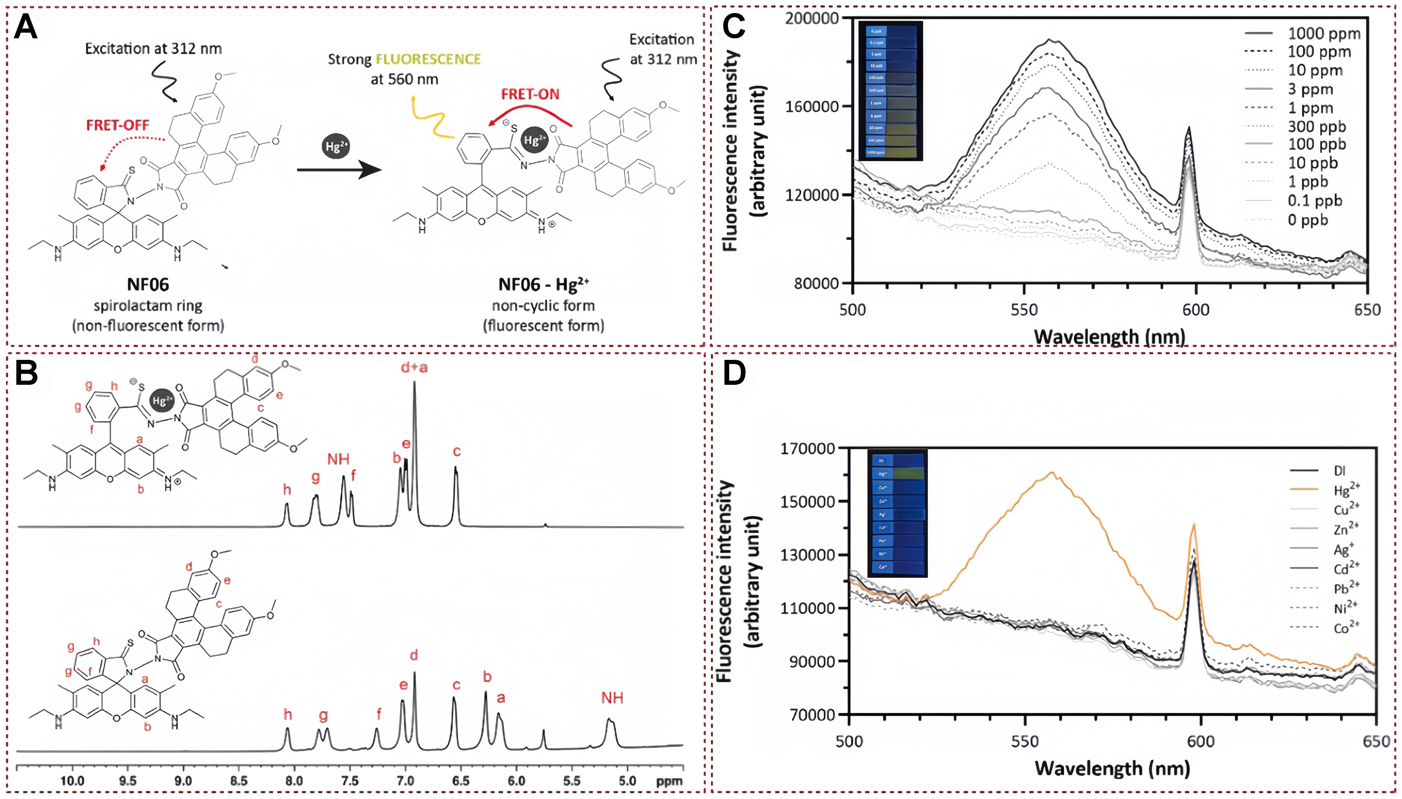 Functional fluorescent probes for efficient identification and detection of mercury ions based on fluorescence emission, quenching, and resonance energy transfer processes