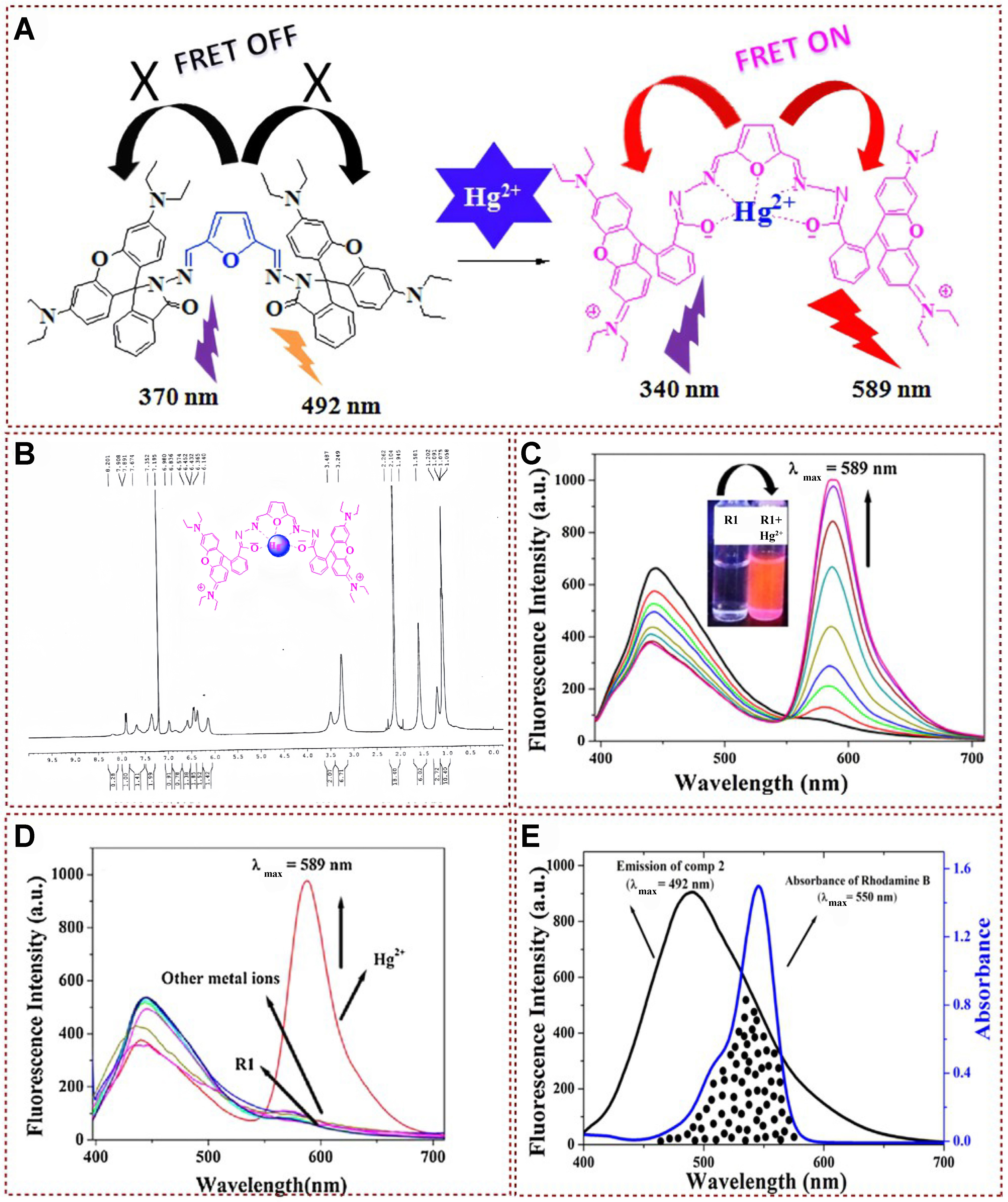 Functional fluorescent probes for efficient identification and detection of mercury ions based on fluorescence emission, quenching, and resonance energy transfer processes
