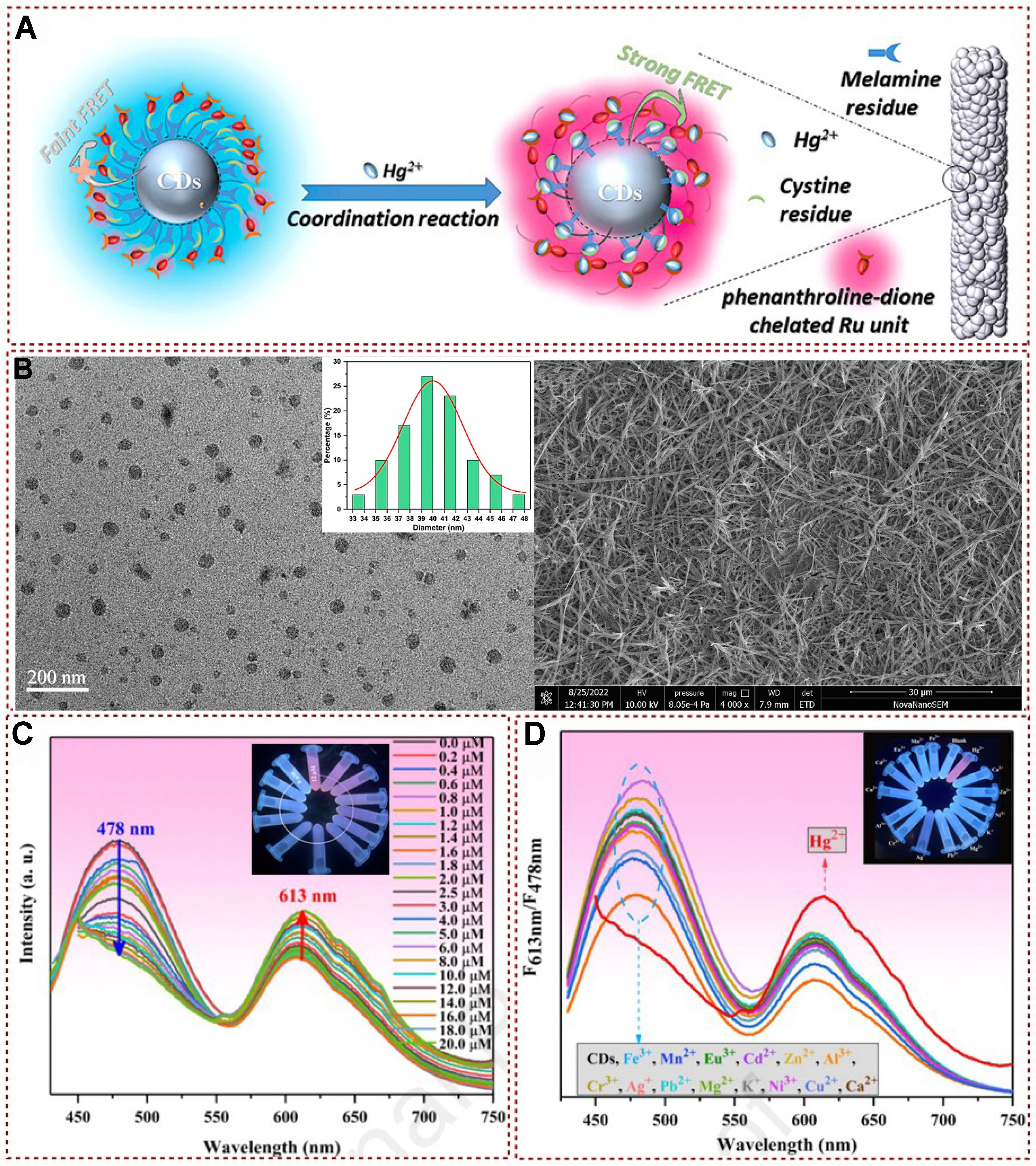Functional fluorescent probes for efficient identification and detection of mercury ions based on fluorescence emission, quenching, and resonance energy transfer processes