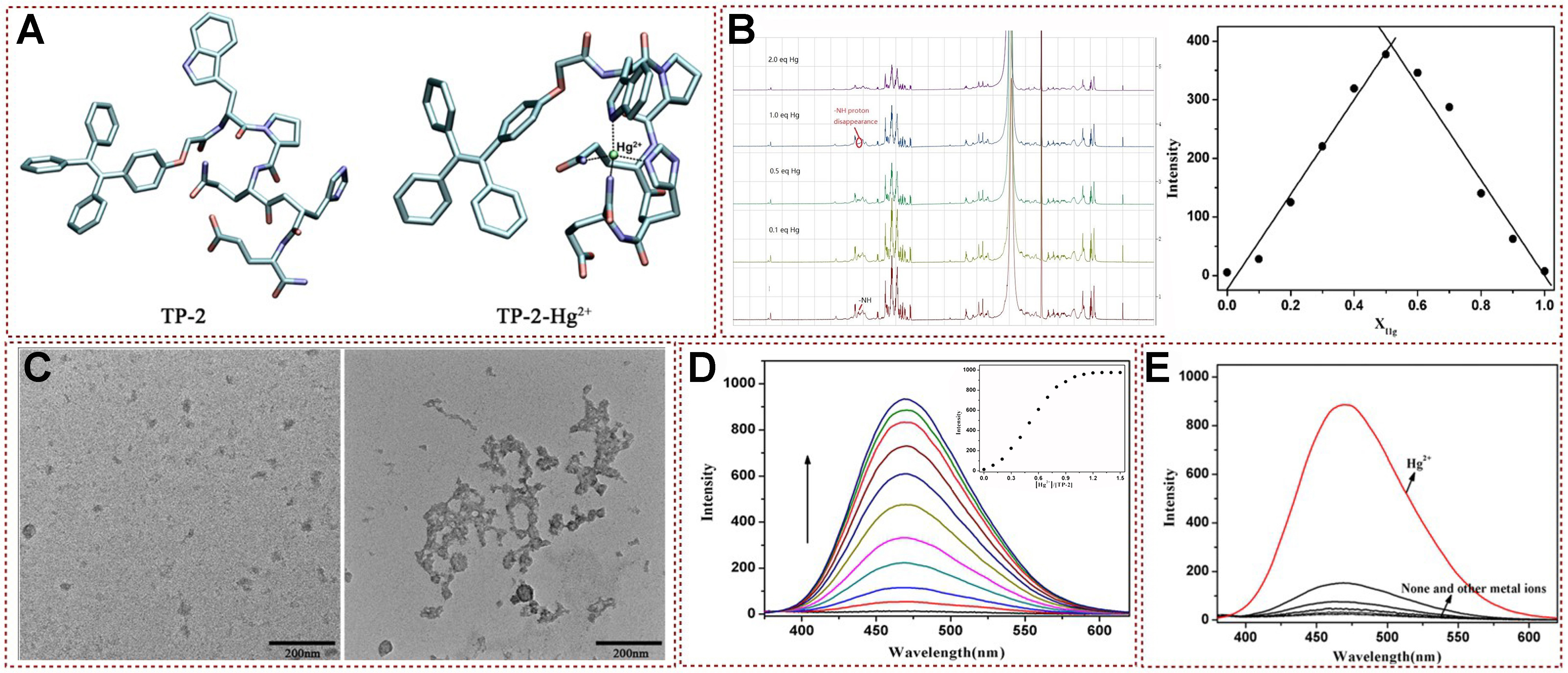 Functional fluorescent probes for efficient identification and detection of mercury ions based on fluorescence emission, quenching, and resonance energy transfer processes