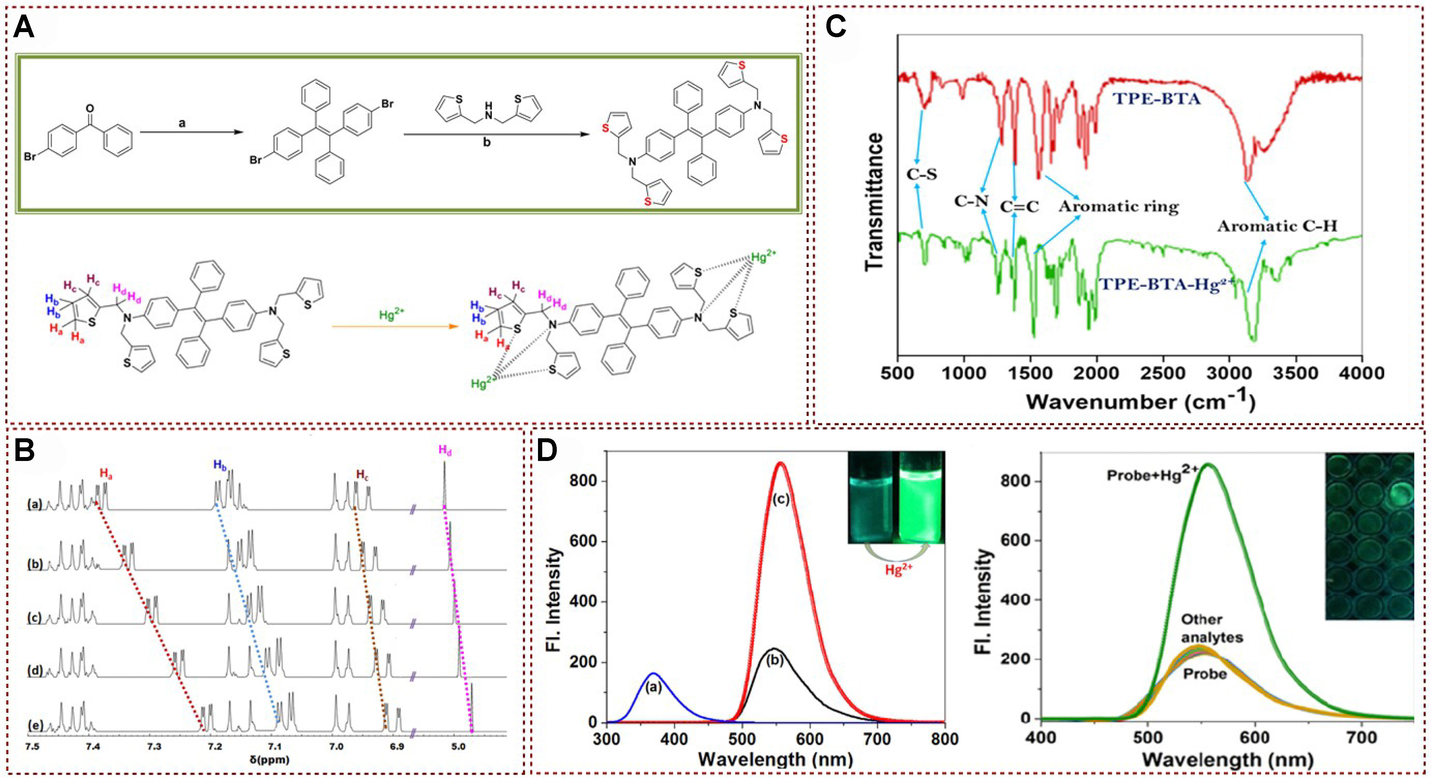 Functional fluorescent probes for efficient identification and detection of mercury ions based on fluorescence emission, quenching, and resonance energy transfer processes