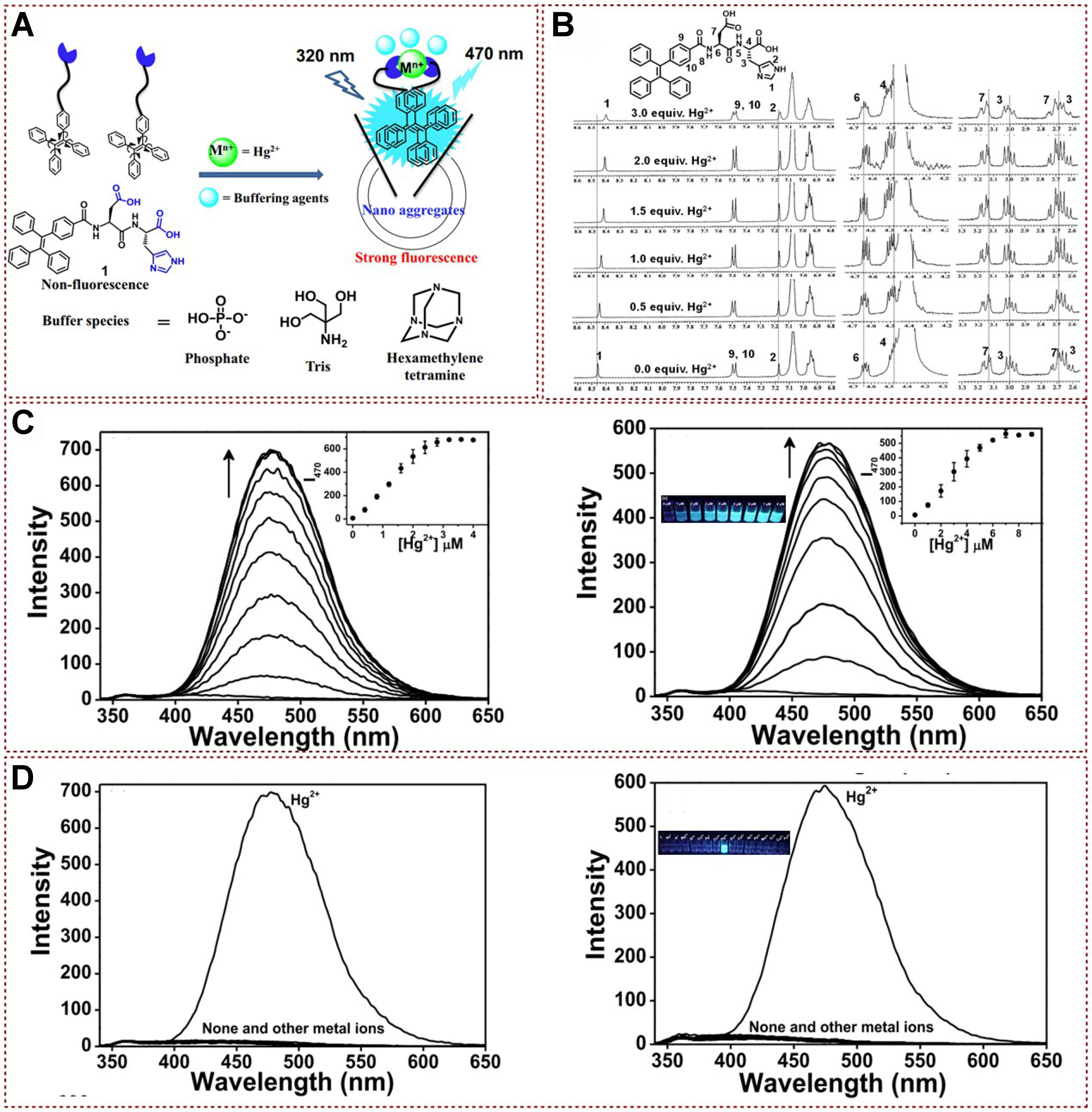 Functional fluorescent probes for efficient identification and detection of mercury ions based on fluorescence emission, quenching, and resonance energy transfer processes