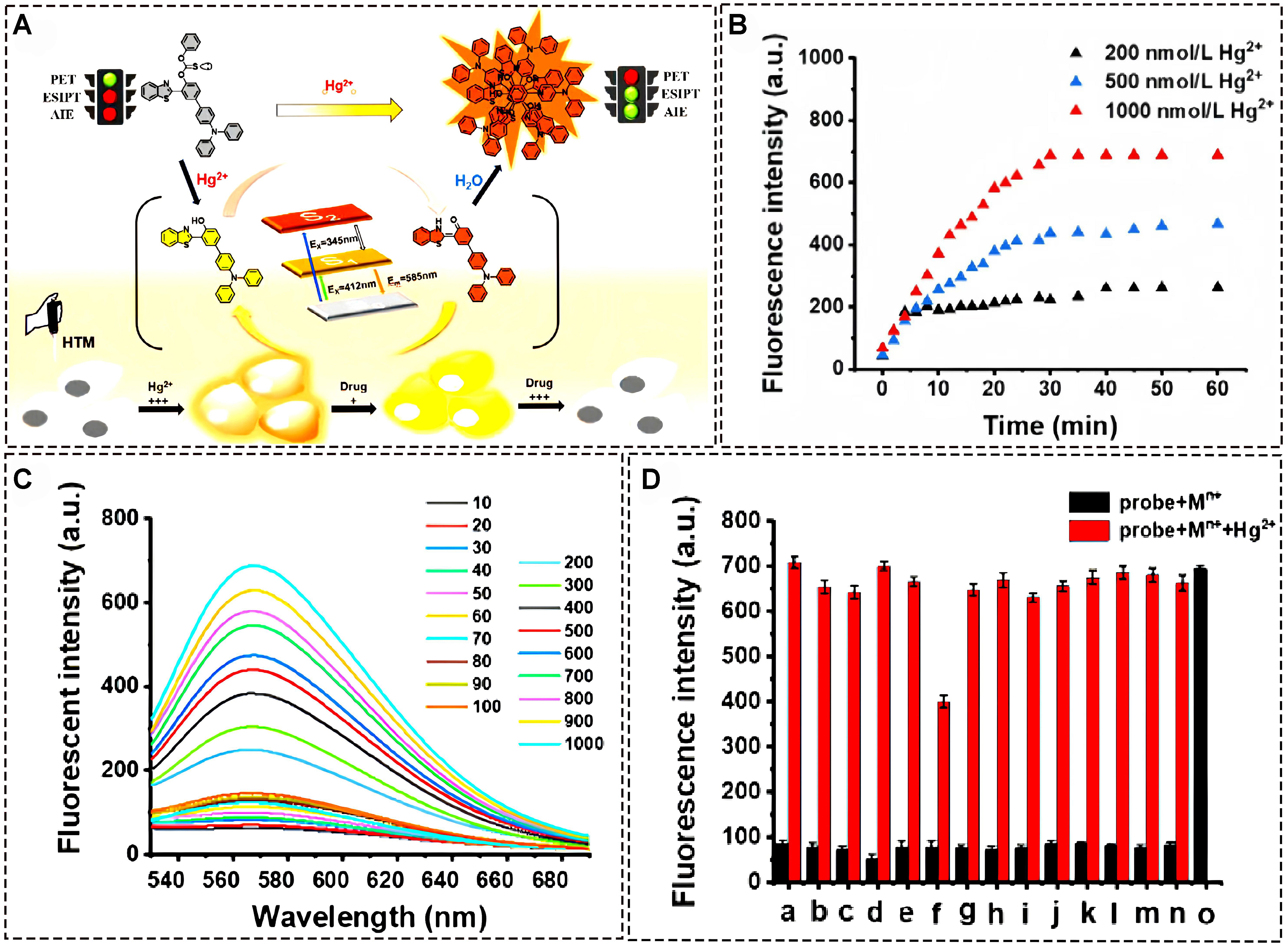 Functional fluorescent probes for efficient identification and detection of mercury ions based on fluorescence emission, quenching, and resonance energy transfer processes
