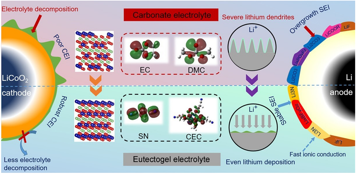 Ionic liquids and their derivatives for lithium batteries: role, design strategy, and perspectives