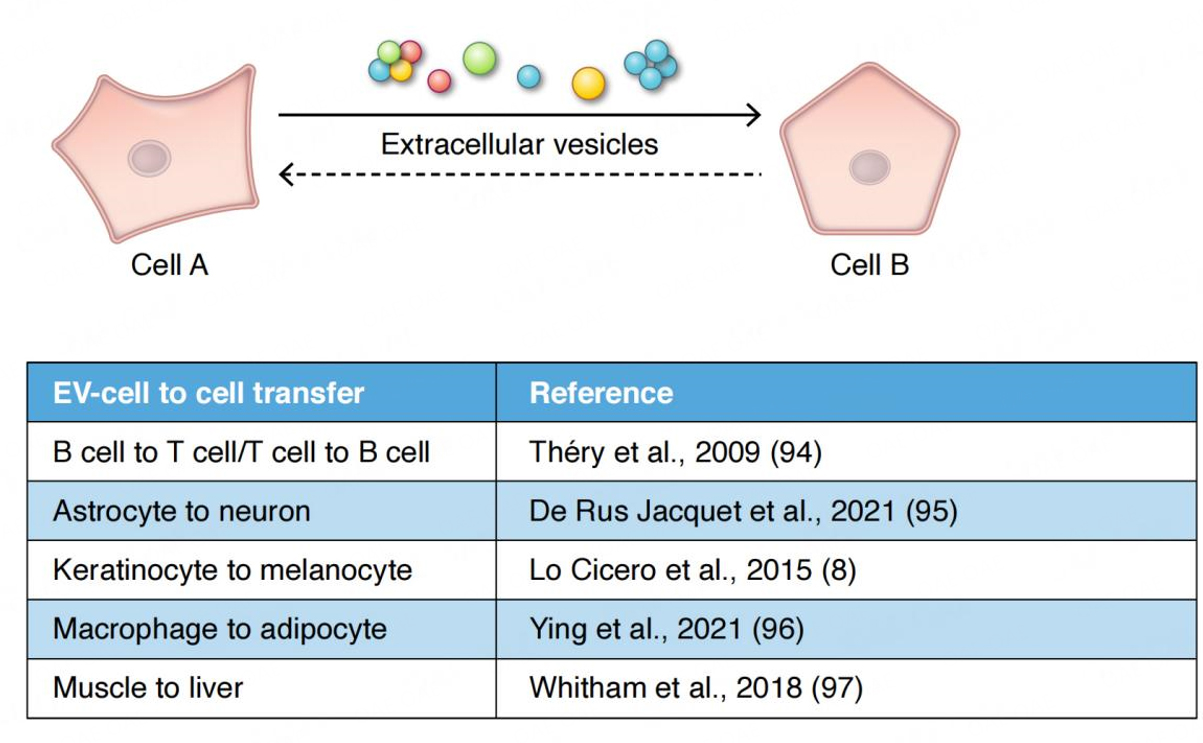 Extracellular vesicles - on the cusp of a new language in the biological sciences