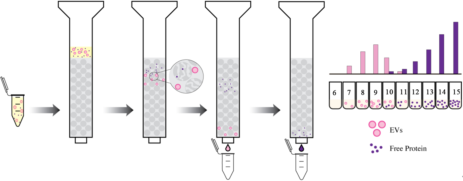 Advances in extracellular vesicle isolation methods: a path towards cell-type specific EV isolation