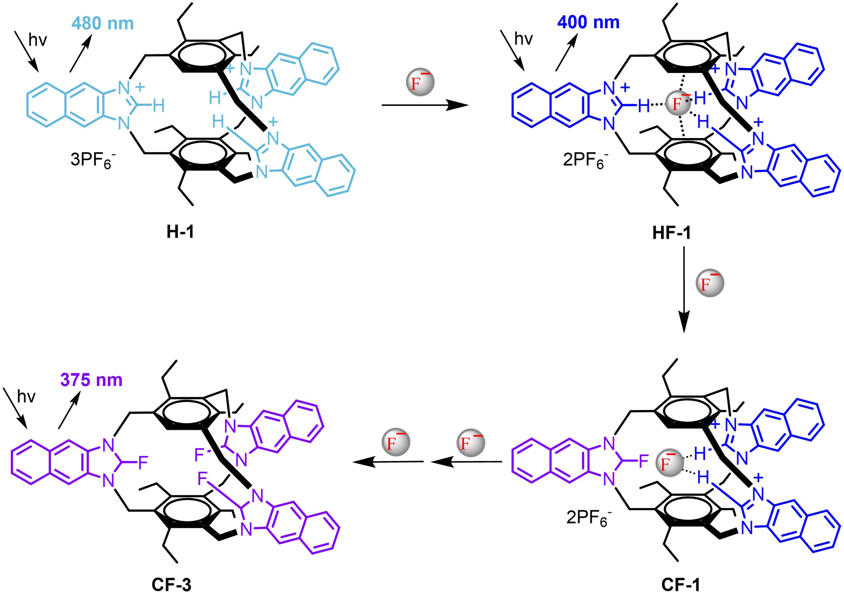 Fluorescent organic cages and their applications