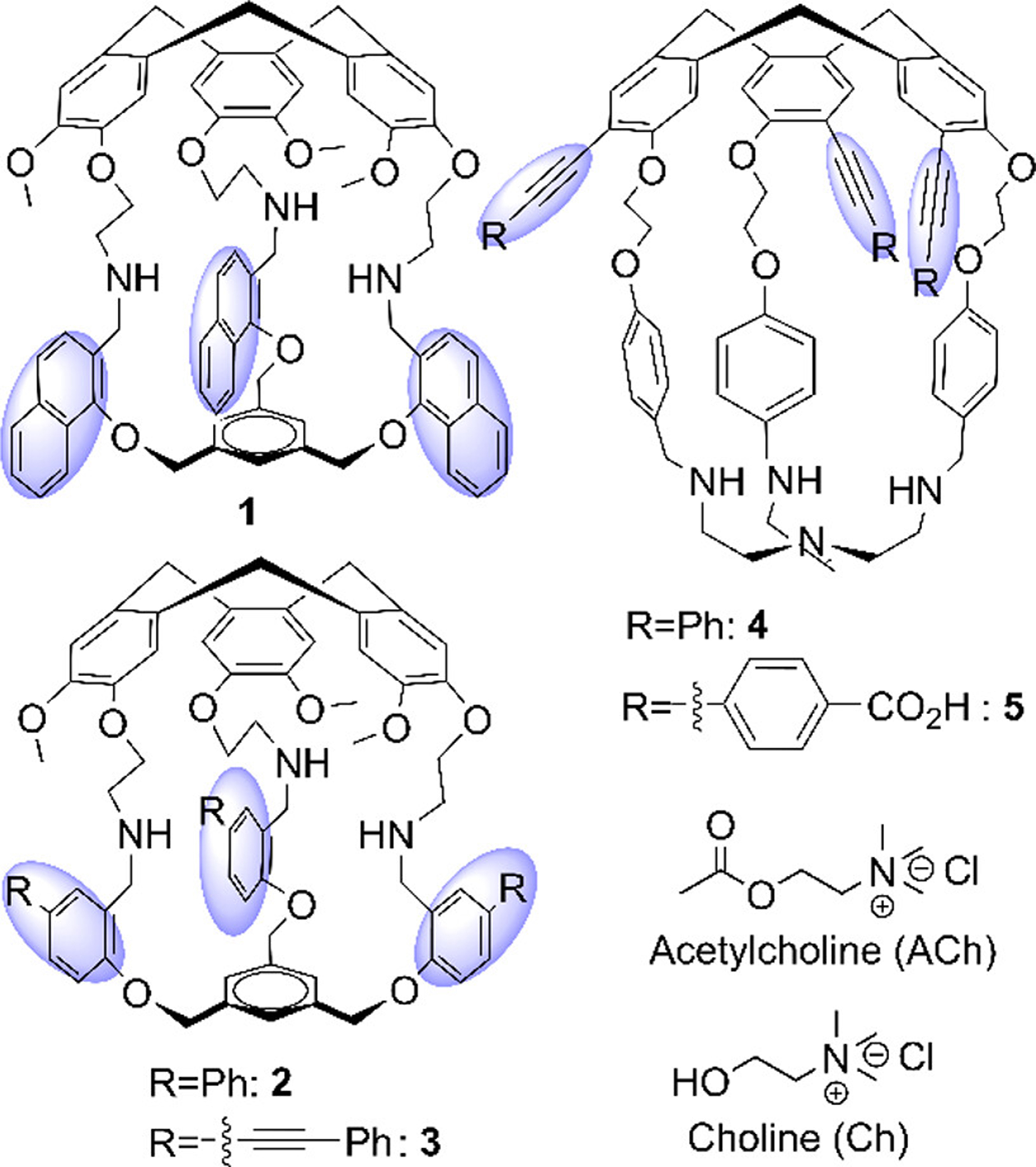 Fluorescent organic cages and their applications