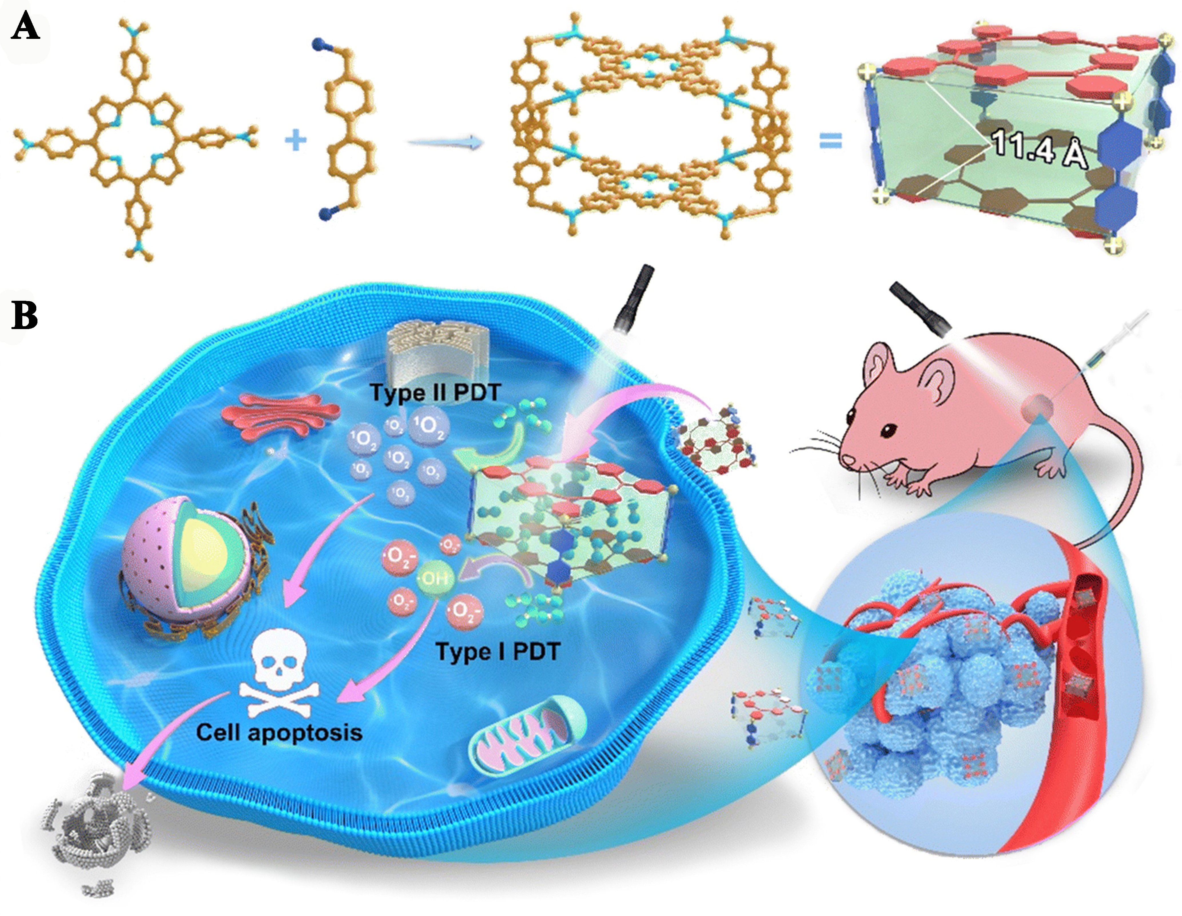 Fluorescent organic cages and their applications