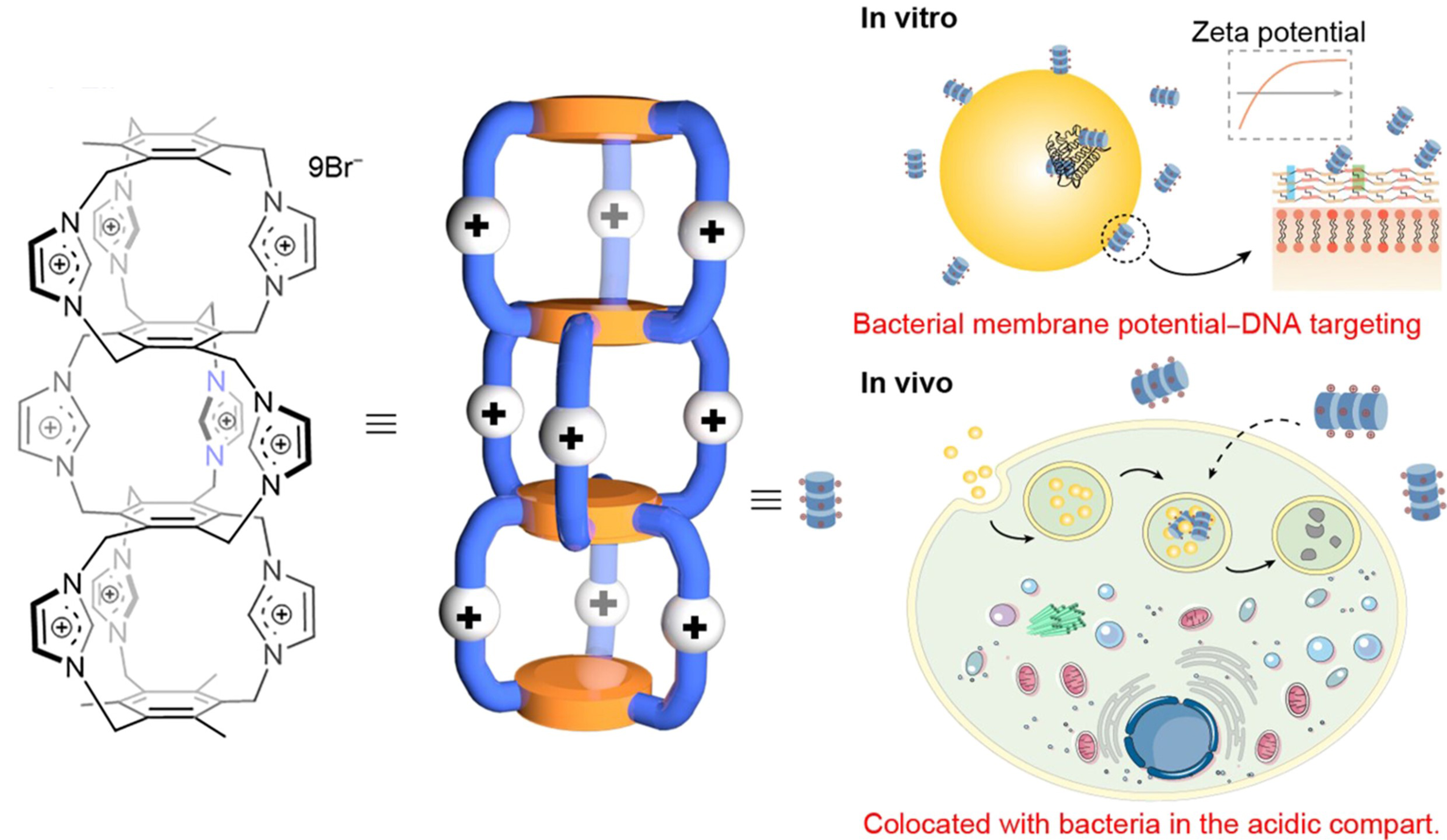 Fluorescent organic cages and their applications