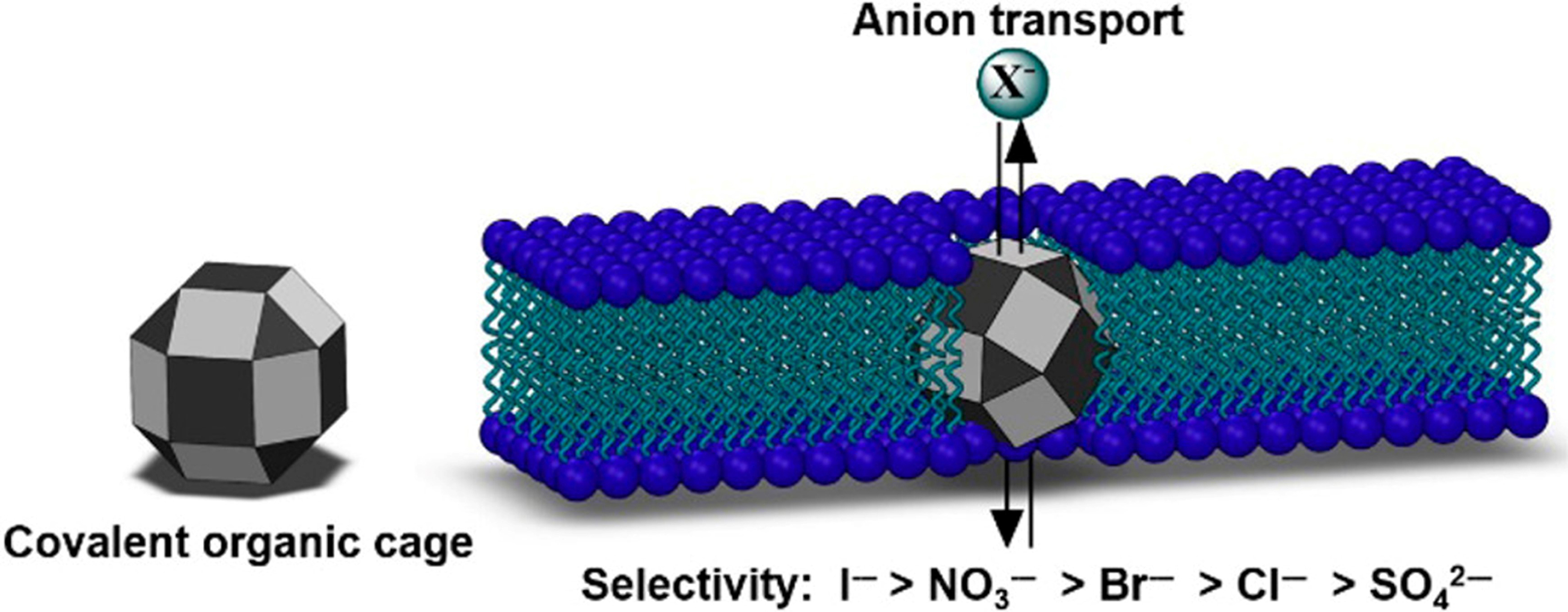 Fluorescent organic cages and their applications