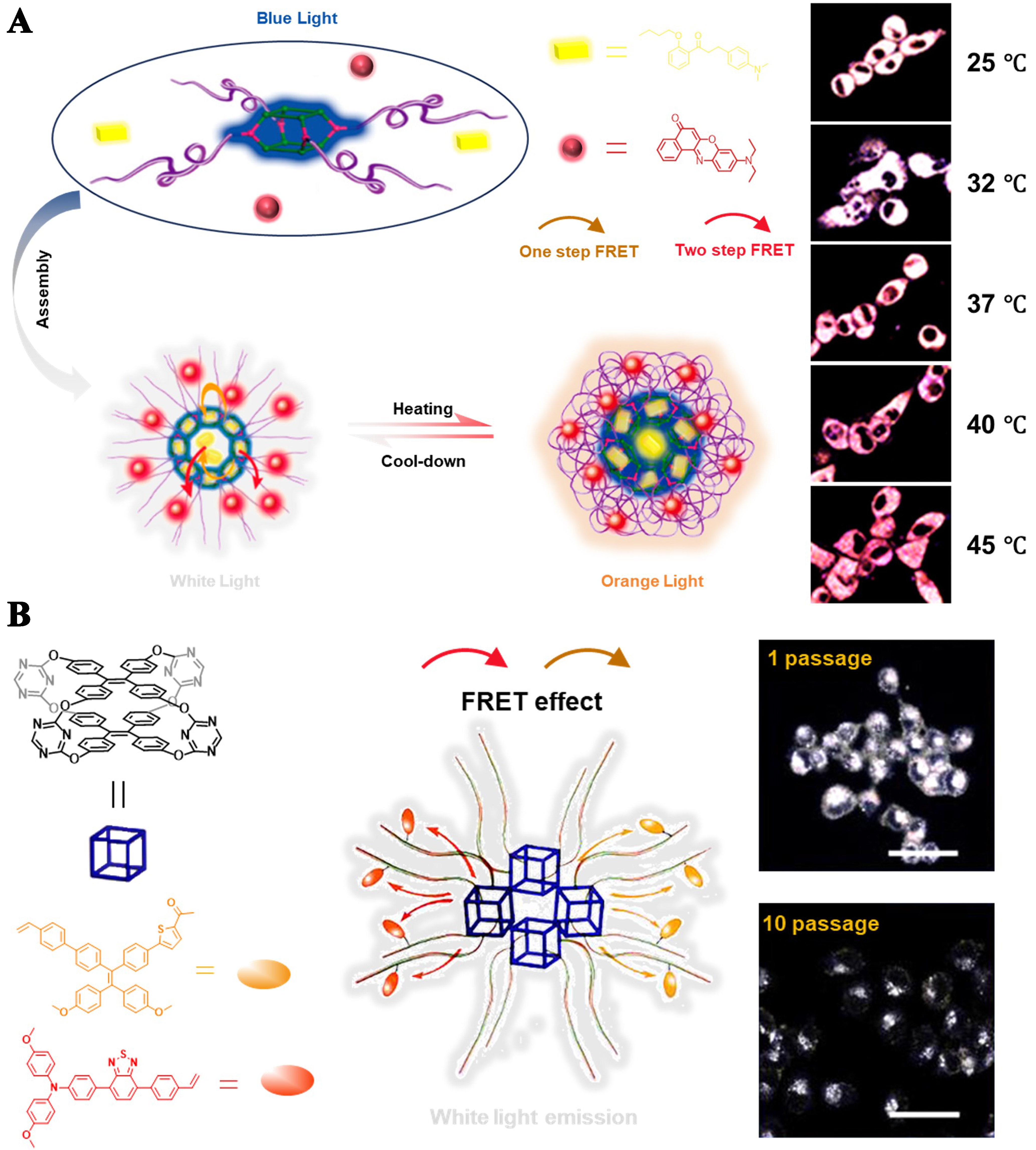 Fluorescent organic cages and their applications