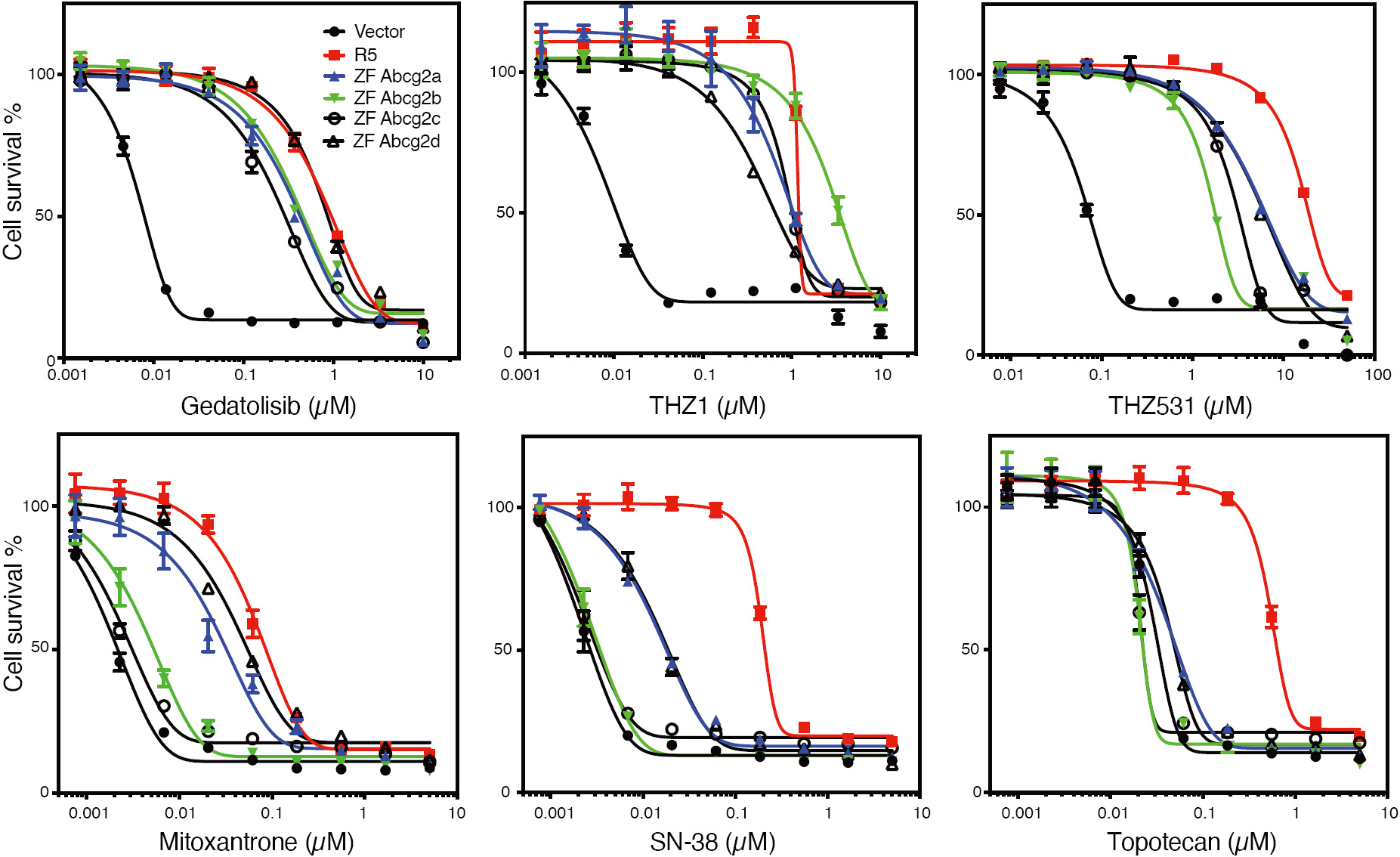 ATP-binding cassette transporters at the zebrafish blood-brain barrier and the potential utility of the zebrafish as an <i>in vivo </i>model