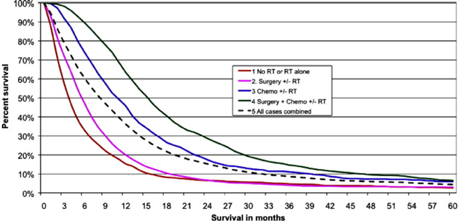 In search of effective therapies to overcome resistance to Temozolomide in brain tumours