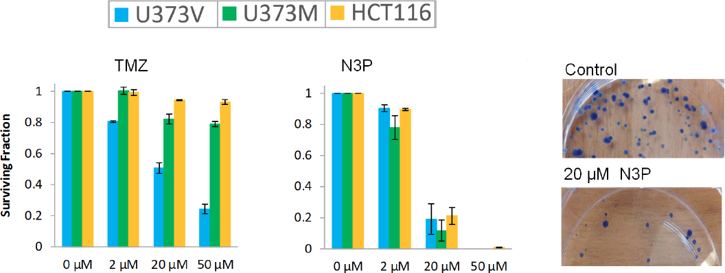 In search of effective therapies to overcome resistance to Temozolomide in brain tumours