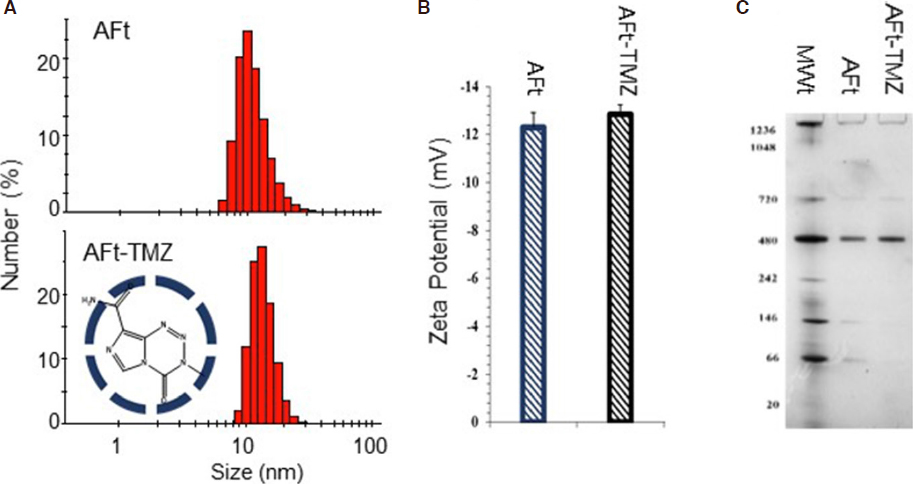 In search of effective therapies to overcome resistance to Temozolomide in brain tumours