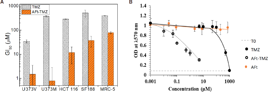 In search of effective therapies to overcome resistance to Temozolomide in brain tumours