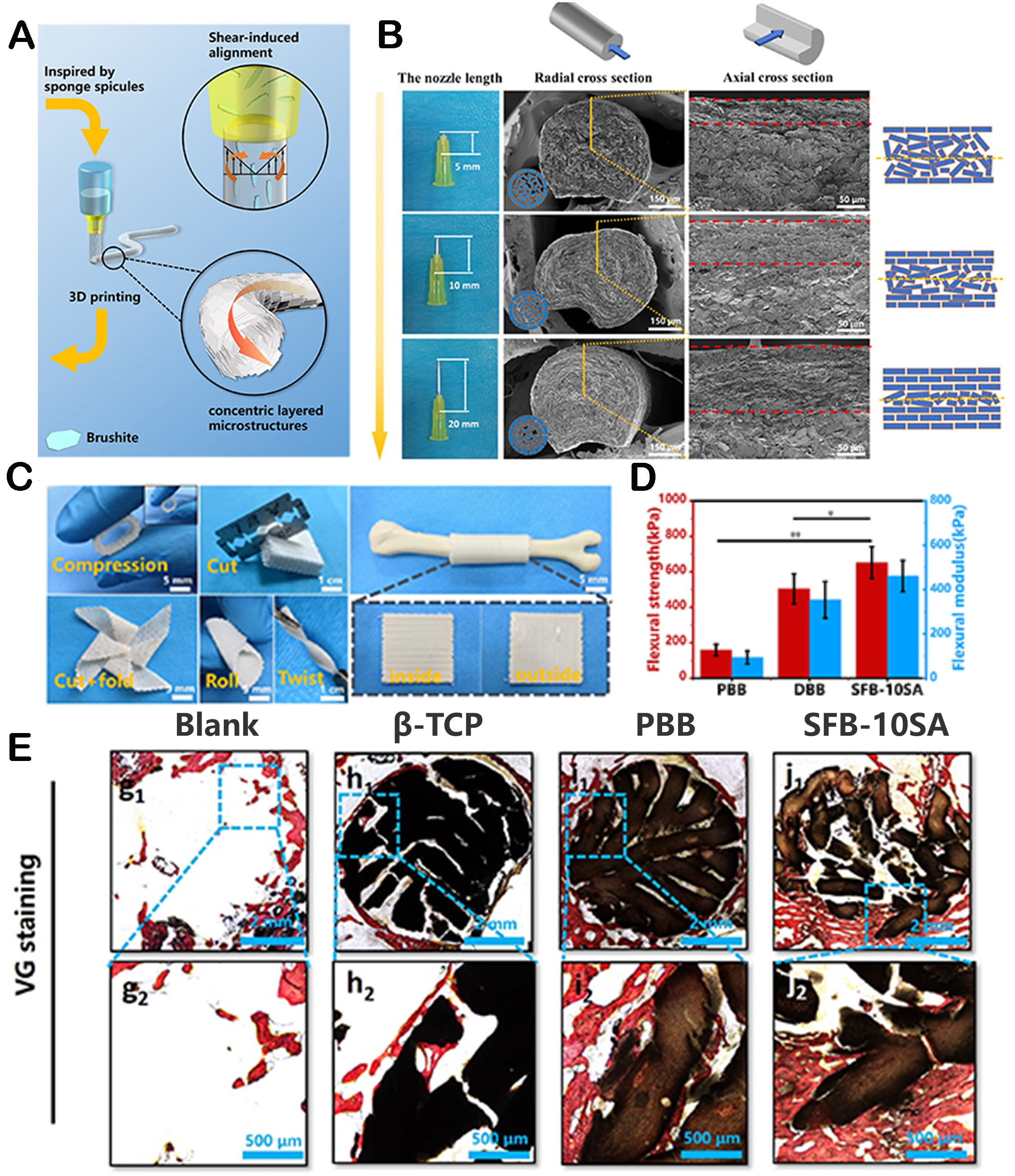 Hierarchically structured biomaterials for tissue regeneration