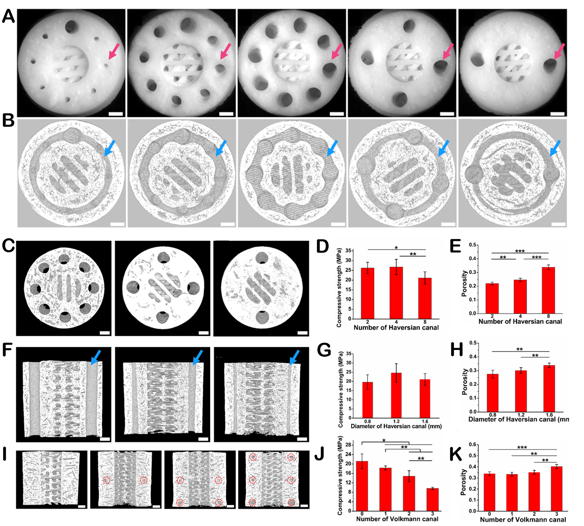 Hierarchically structured biomaterials for tissue regeneration
