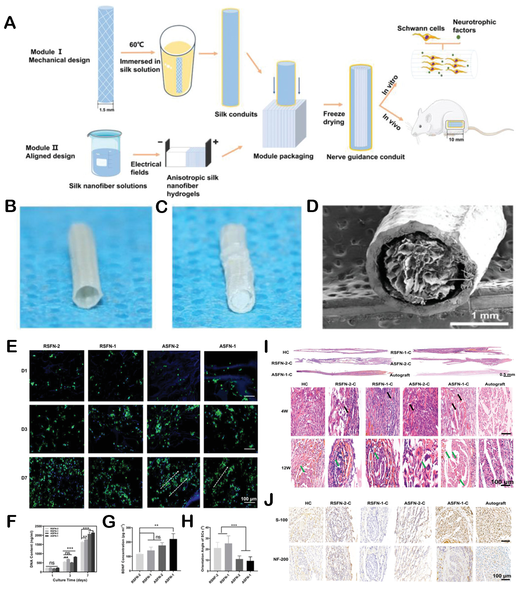 Hierarchically structured biomaterials for tissue regeneration