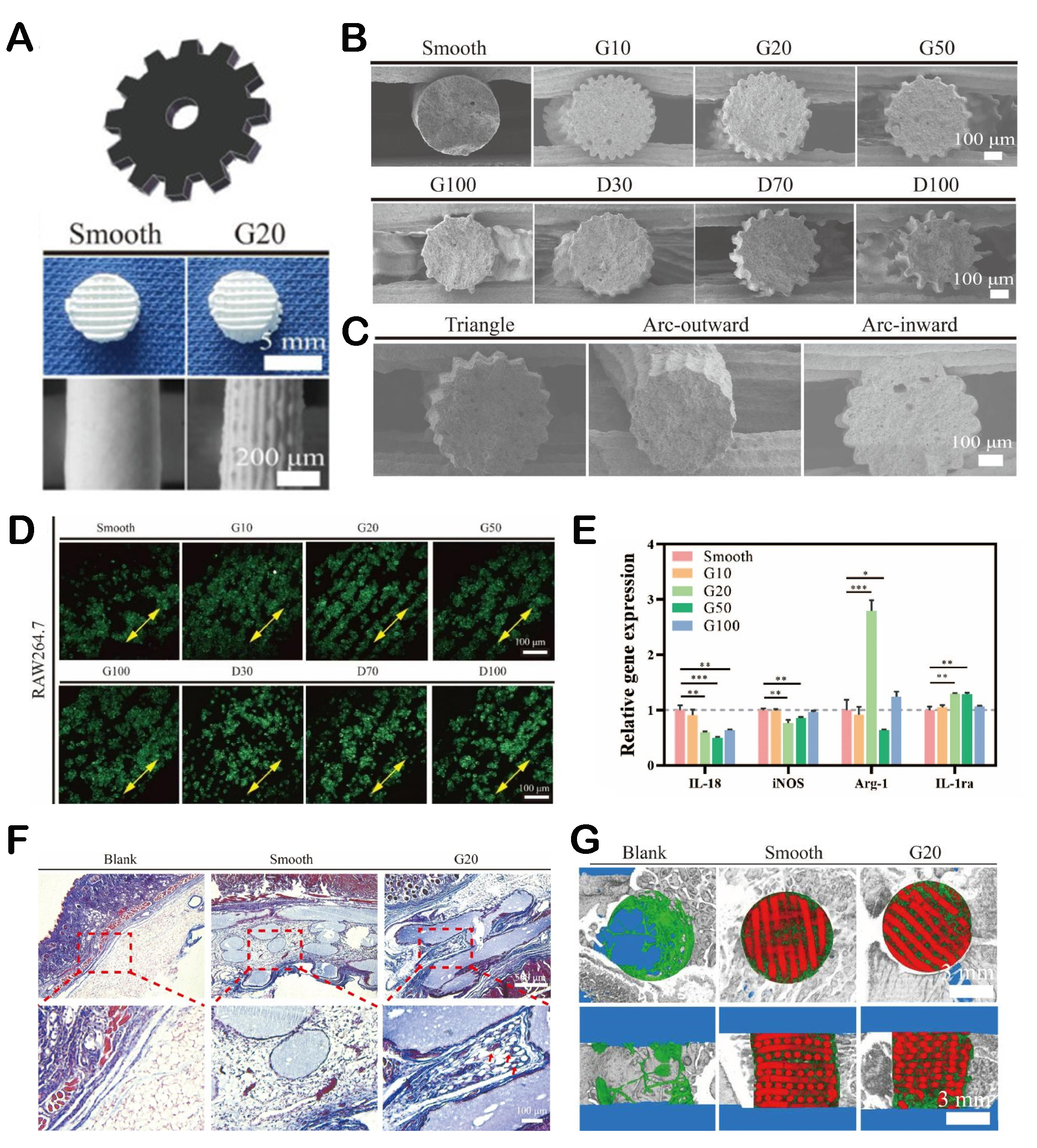 Hierarchically structured biomaterials for tissue regeneration