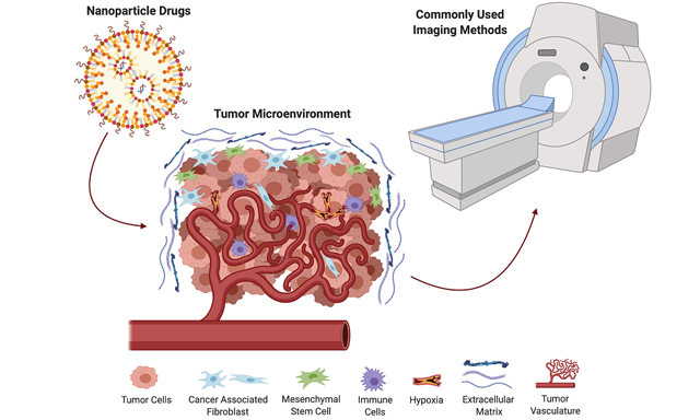 Topic: Overcome Cancer Drug Resistance by Nano-carrier Drug Delivery System